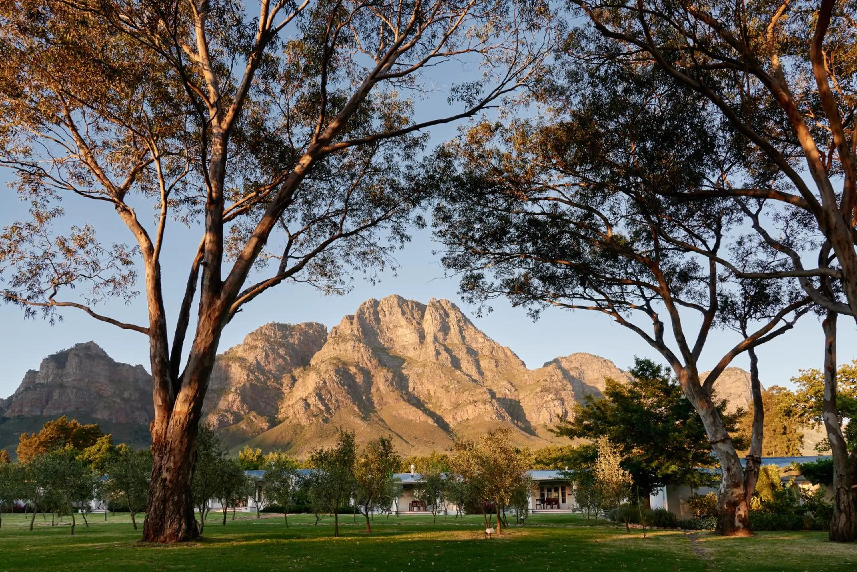 Natural landscape in Boschendal Farm Estate
