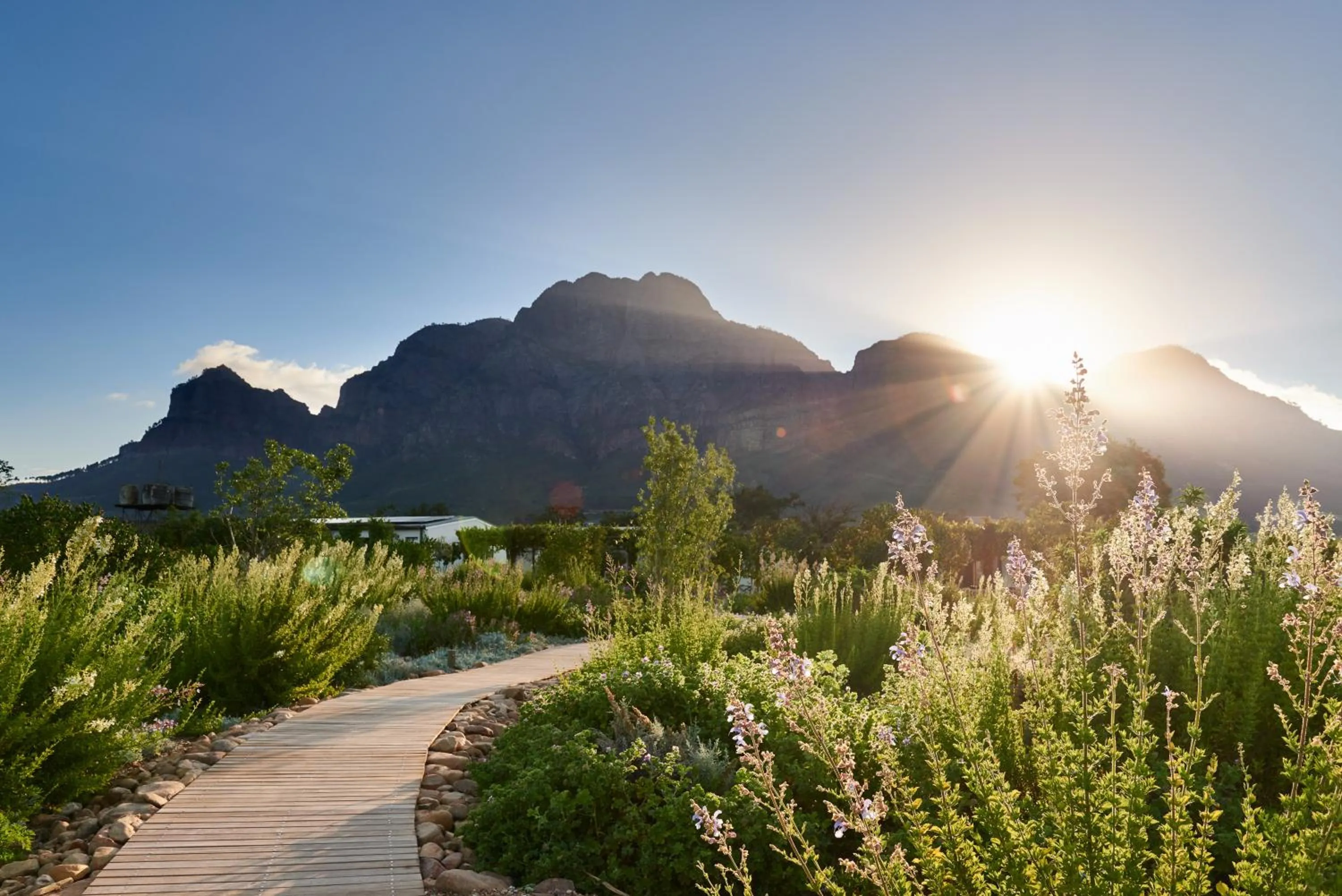 Natural landscape in Boschendal Farm Estate