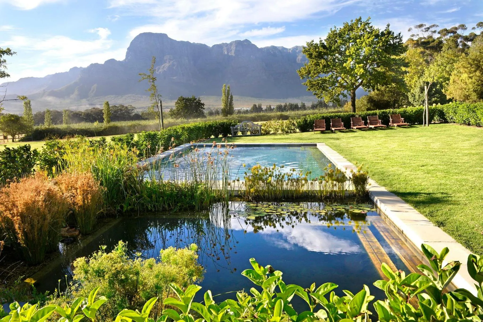 Pool view in Boschendal Farm Estate
