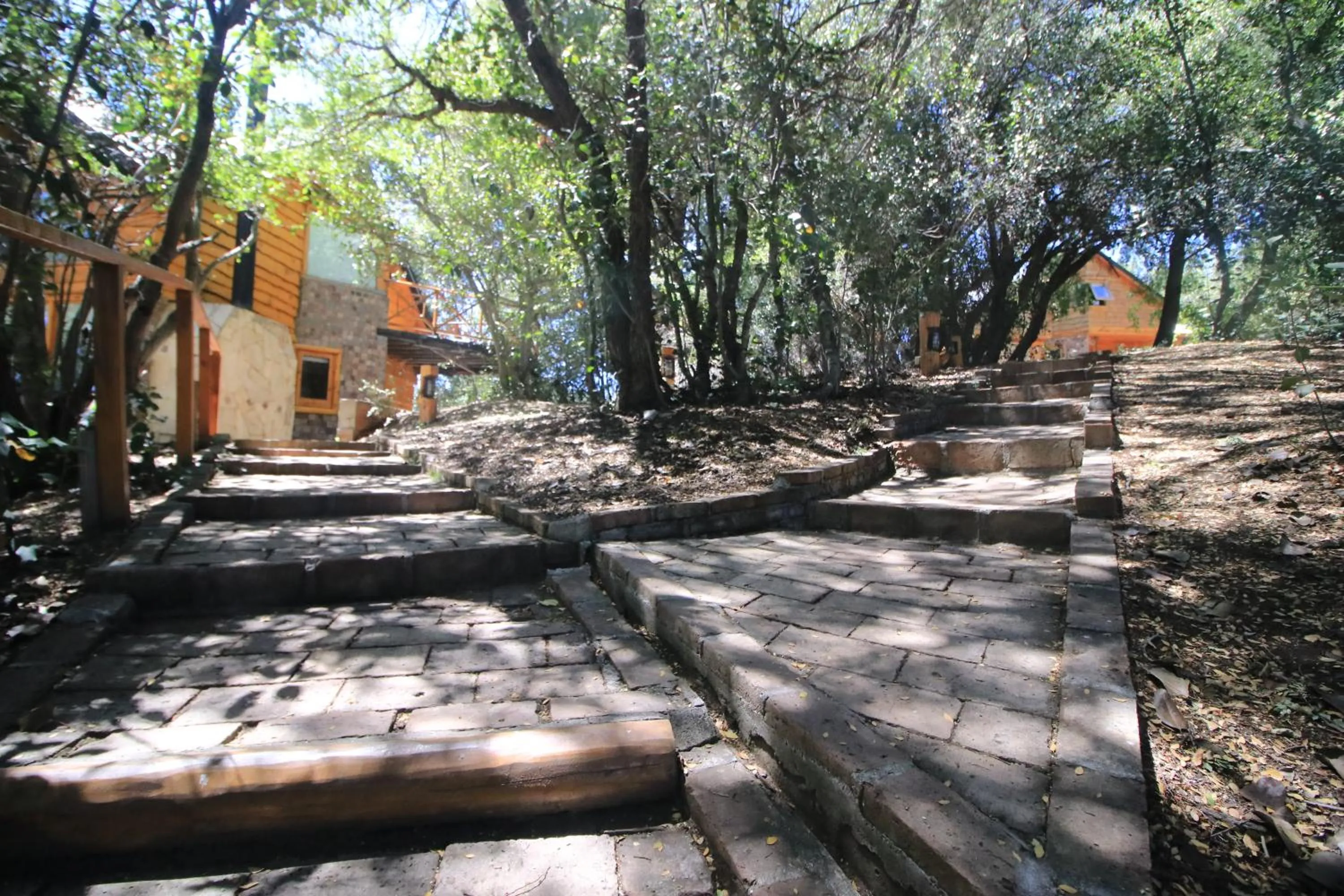 Garden view in Posada La Escondida