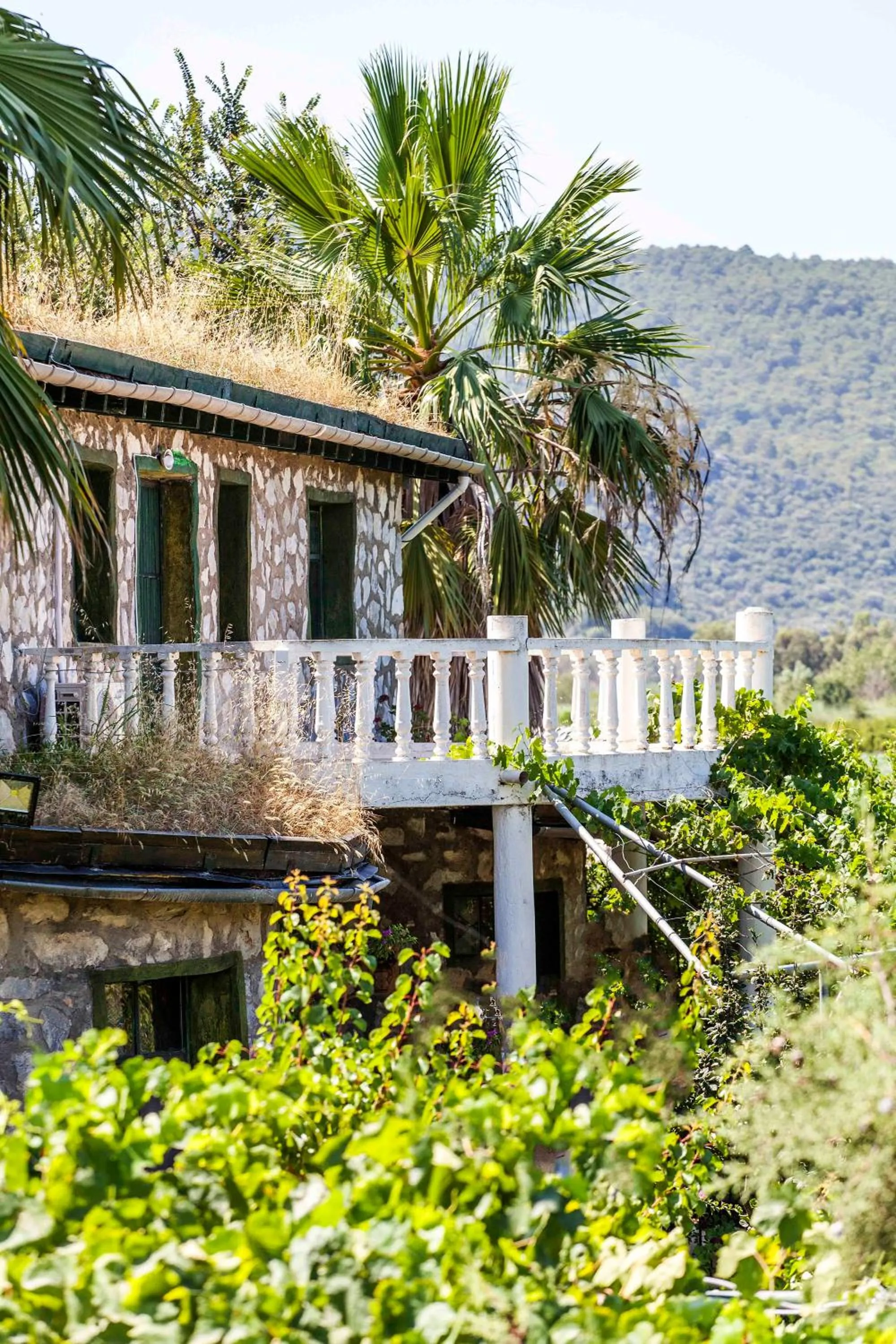 Property building in Otantik Tas Ev