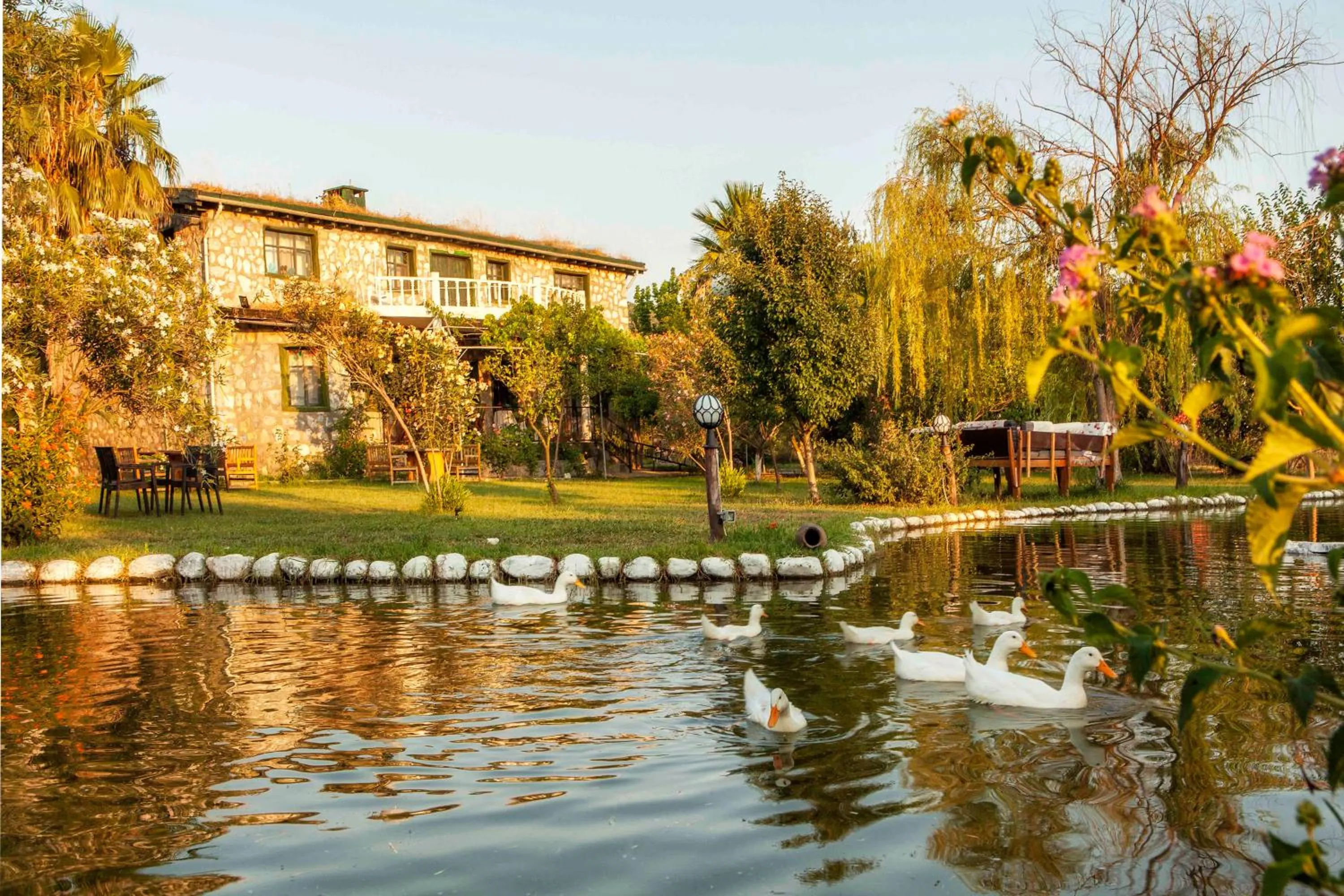 Property building in Otantik Tas Ev