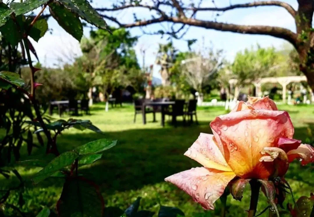 Natural landscape in Otantik Tas Ev