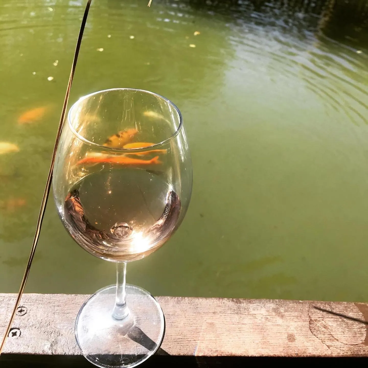 Lake view in Otantik Tas Ev