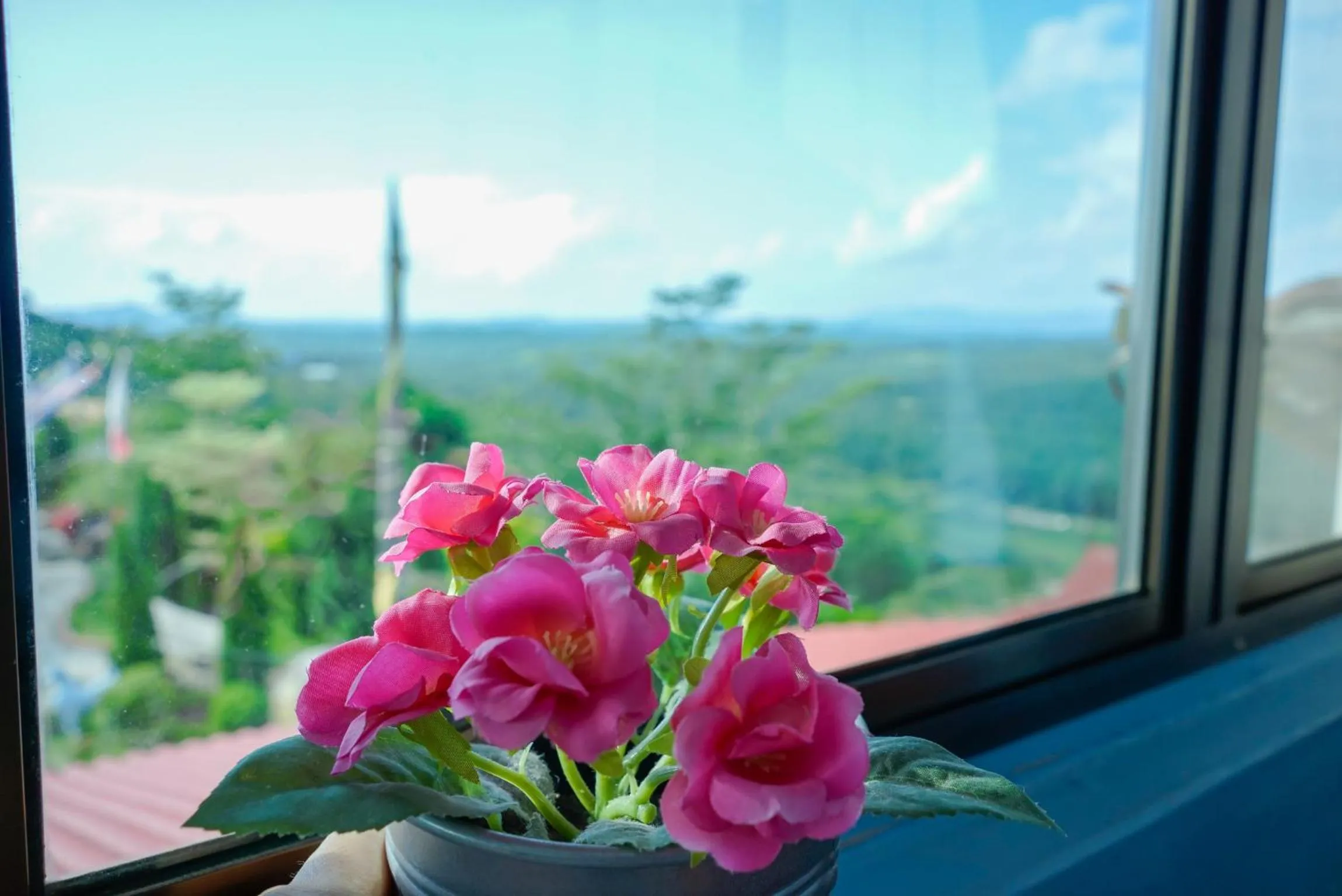 View (from property/room) in LABIS SUNRISE FARM STAY