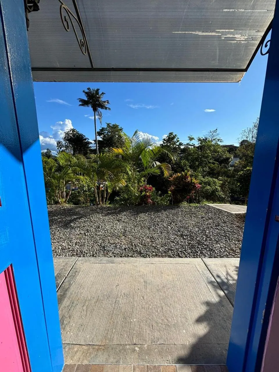 Garden view in Hotel El Jardin