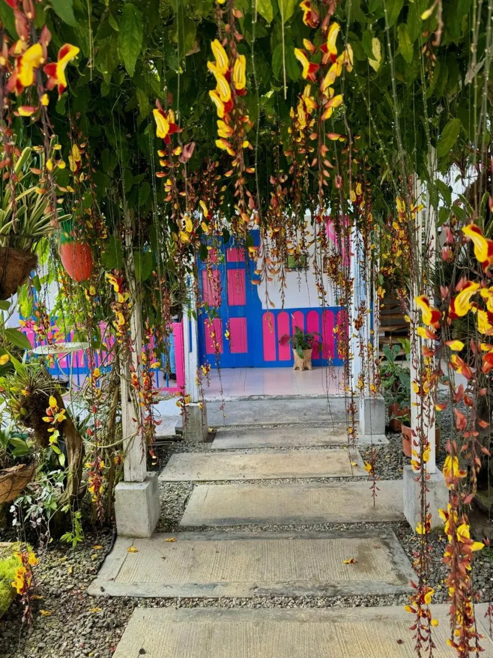 Garden view in Hotel El Jardin