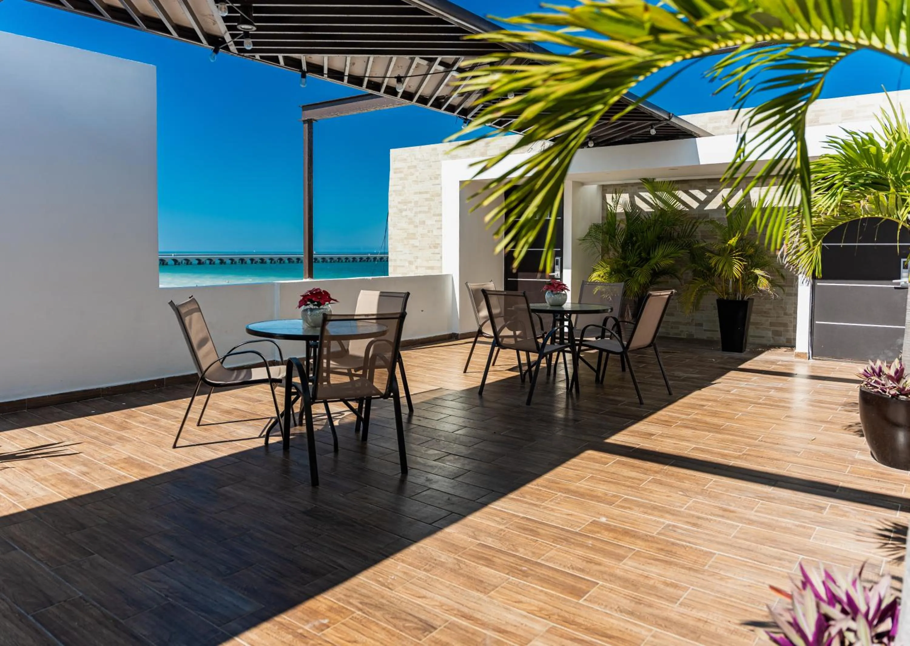 Balcony/Terrace in Hotel & Suites Domani