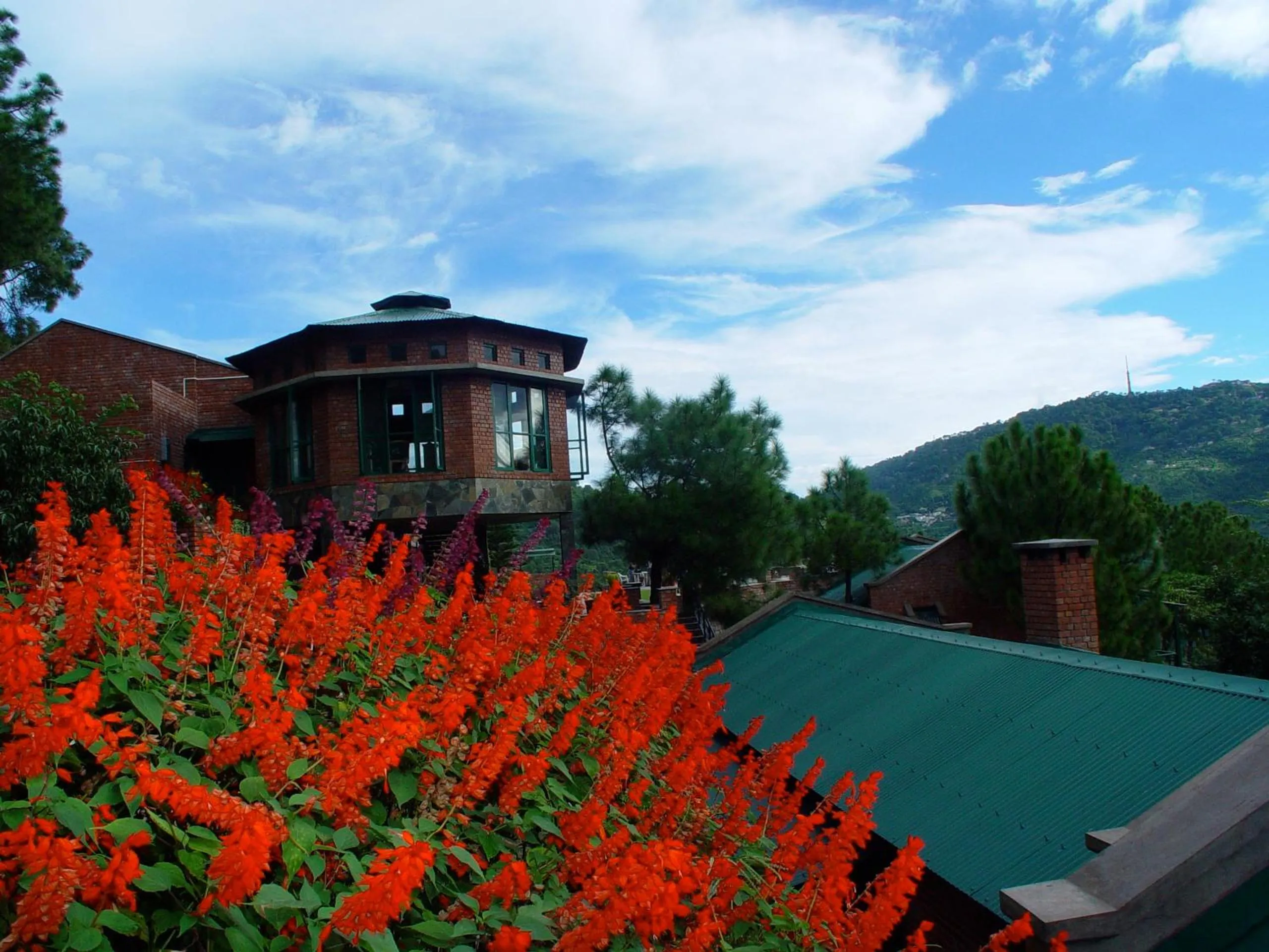 View (from property/room) in Baikunth Resort, Kasauli by Leisure Hotels
