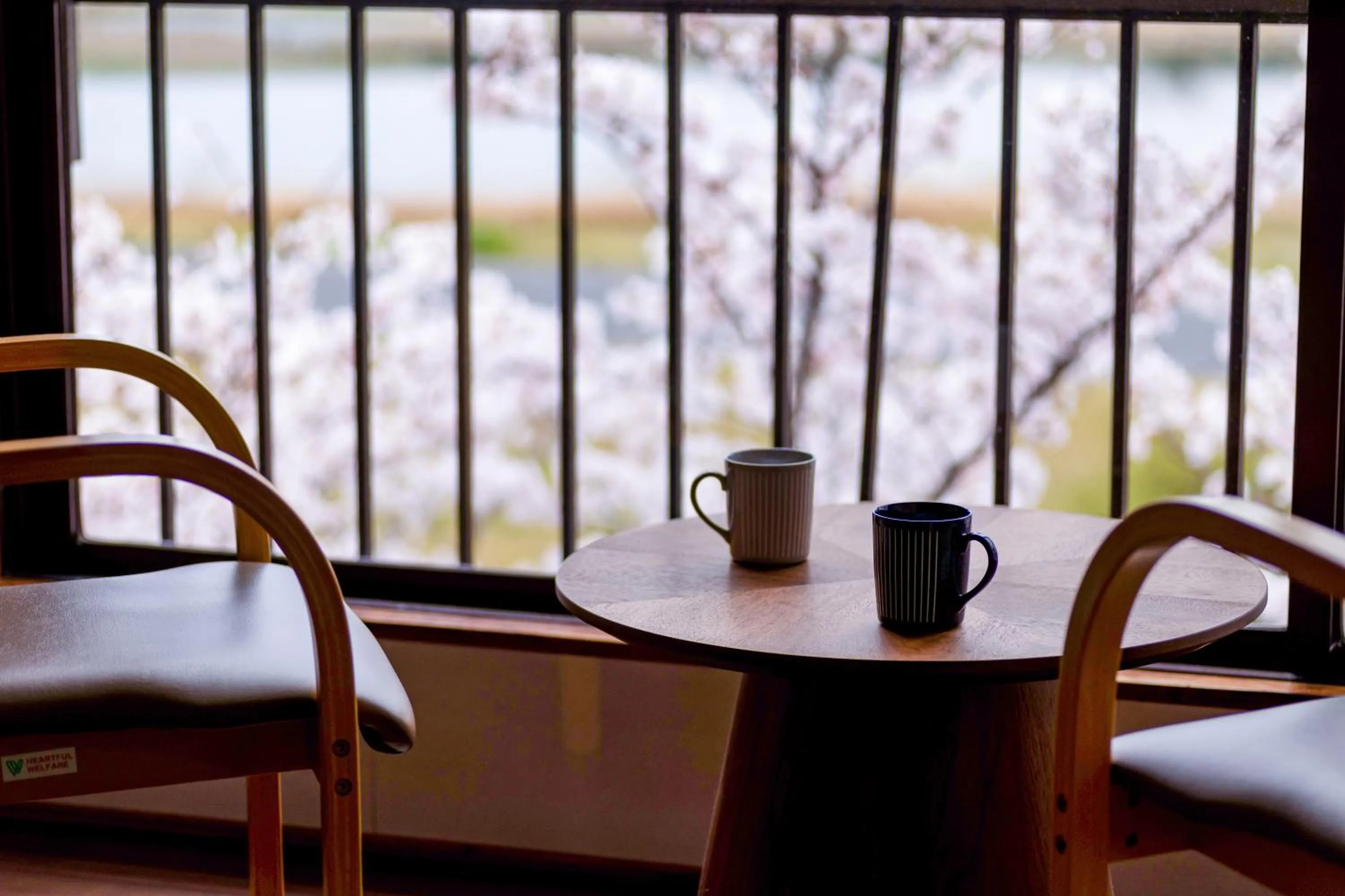 River view in Ryokan Toyotomi