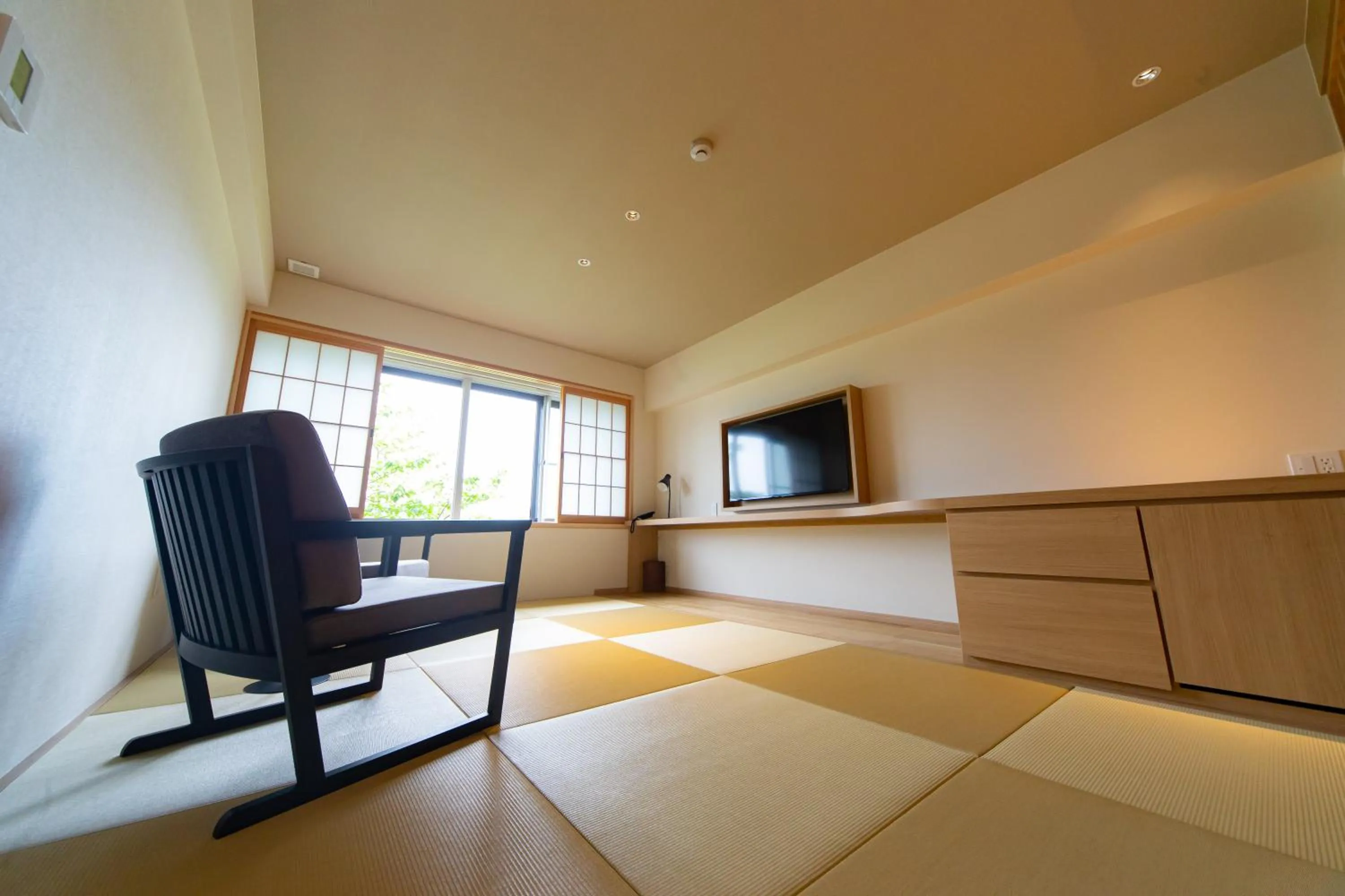 TV and multimedia in Ryokan Toyotomi