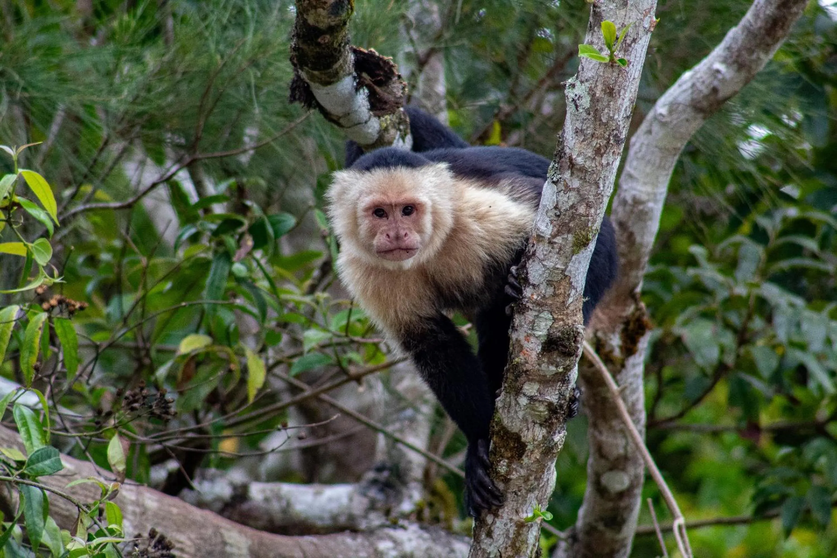 Natural landscape in Fondavela Hotel