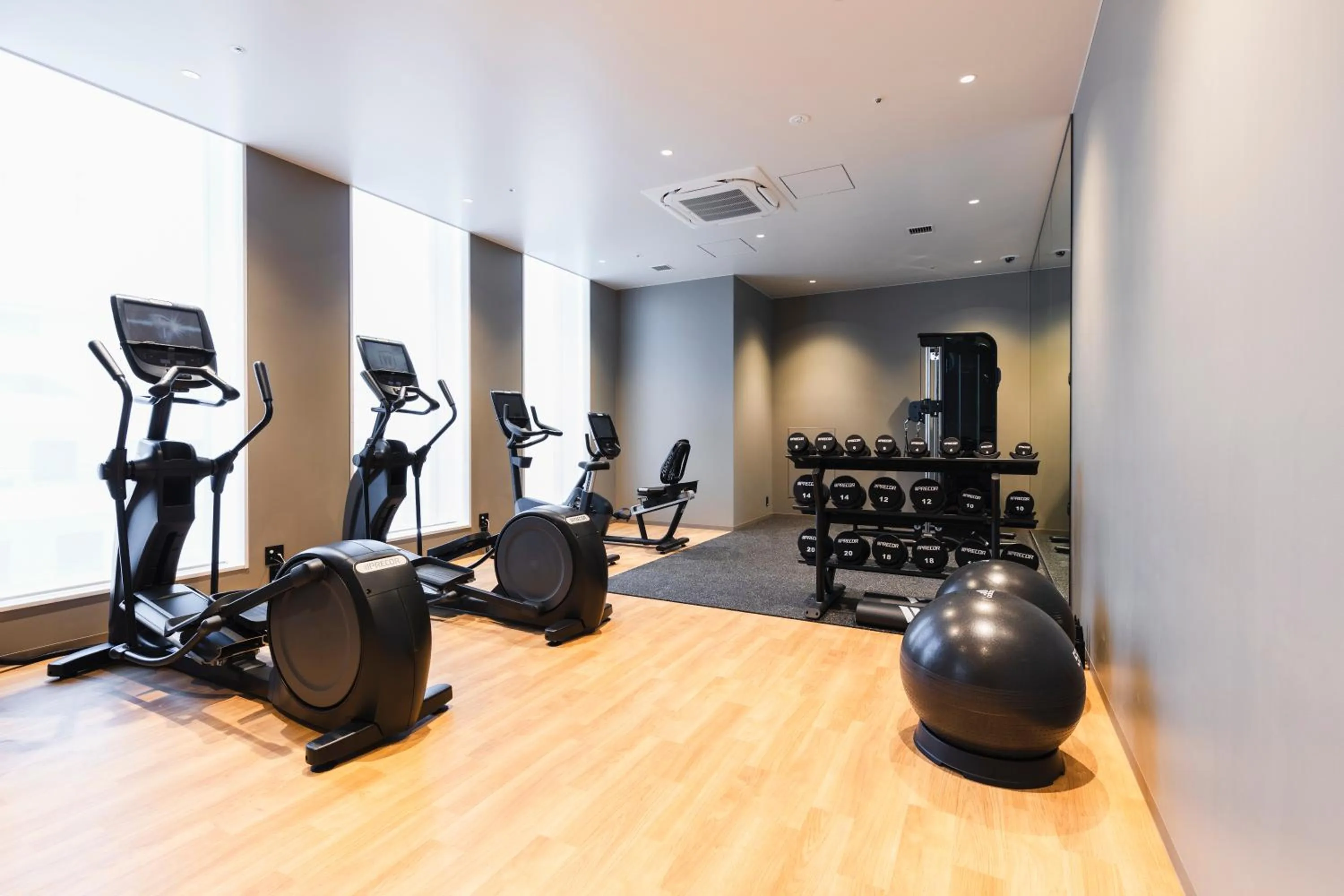 Fitness centre/facilities in Sotetsu Hotels The Splaisir Yokohama