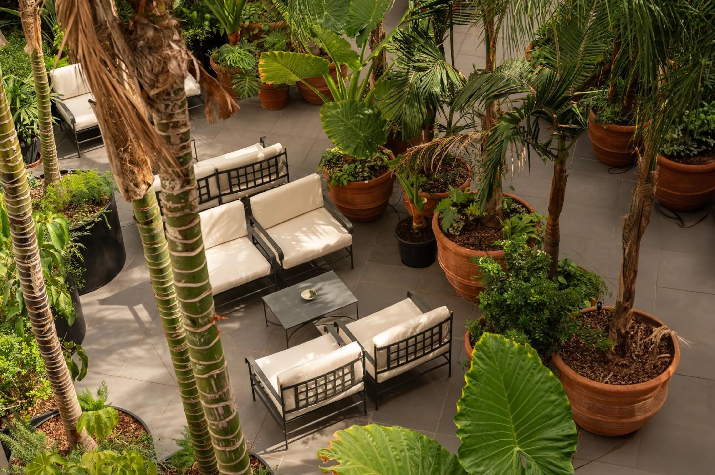 Garden in Palazzo Talìa - Small Luxury Hotels of the World