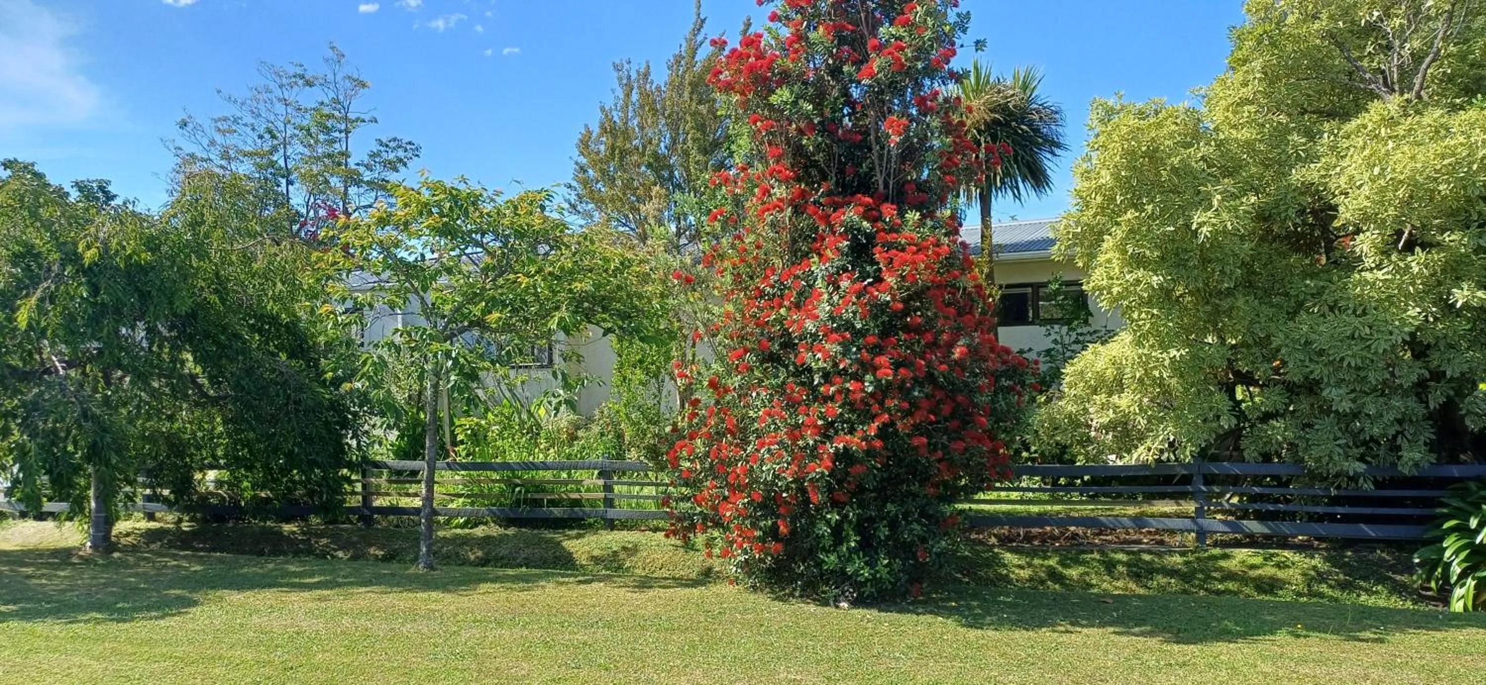 Natural landscape in Ashcroft Gardens Bed & Breakfast