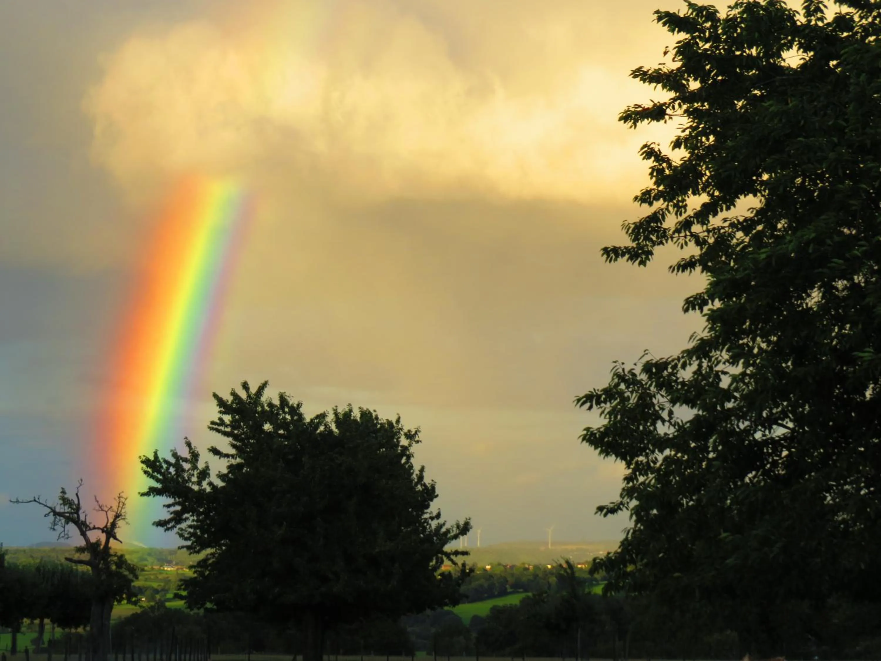 Nearby landmark in Hotel - Restaurant De 4 Jaargetijden