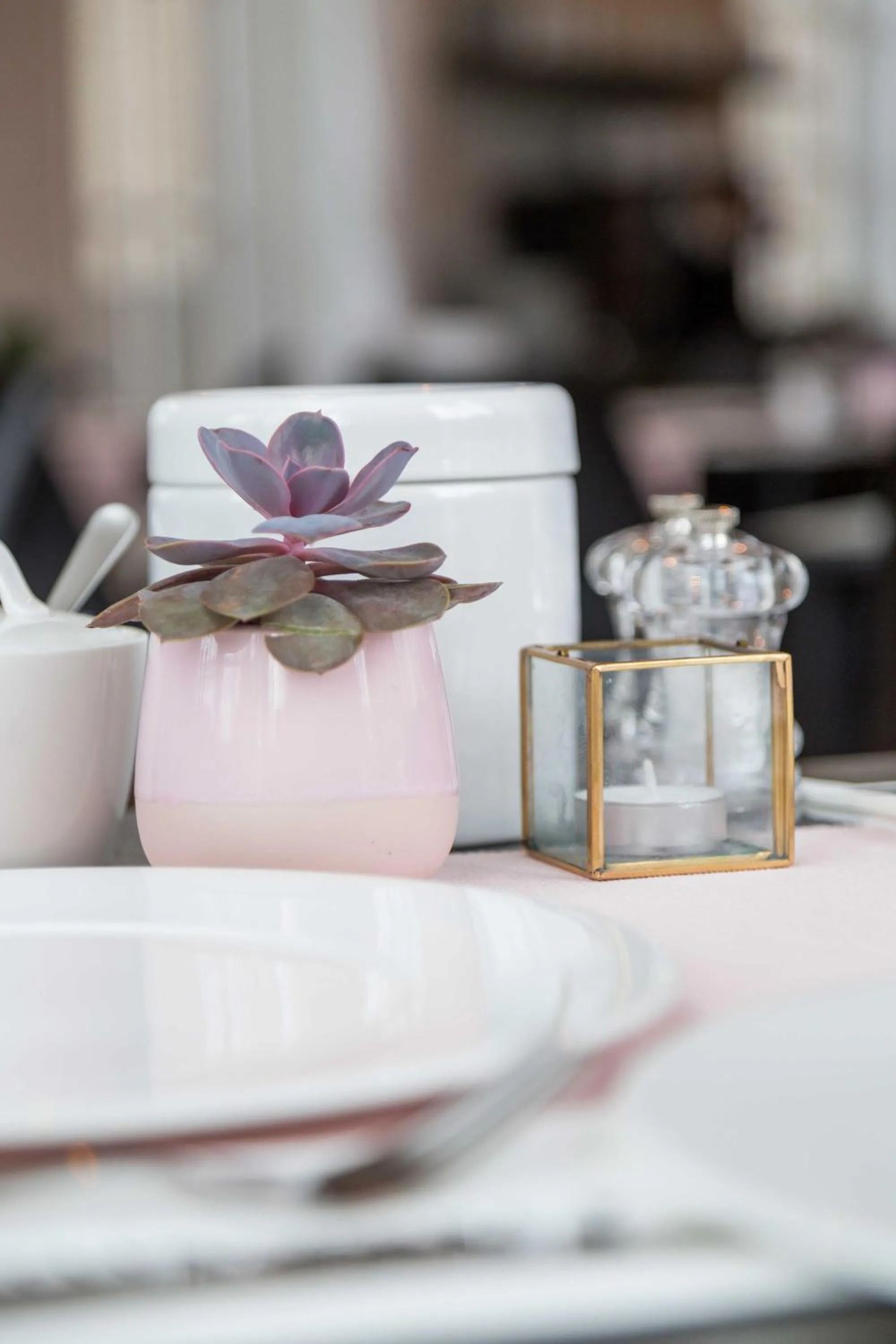 Food and drinks in Hotel - Restaurant De 4 Jaargetijden