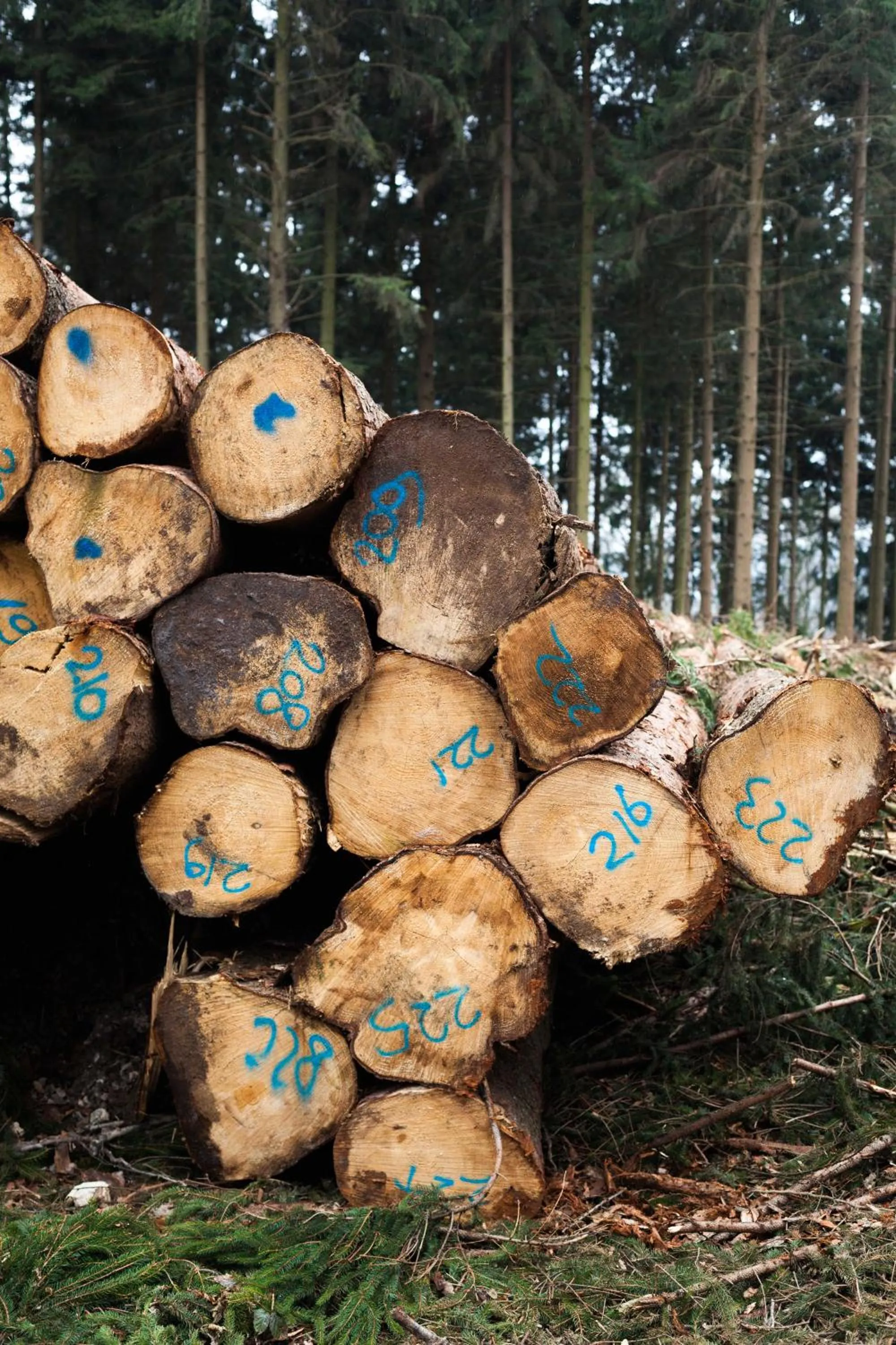 Natural landscape in Hotel - Restaurant De 4 Jaargetijden