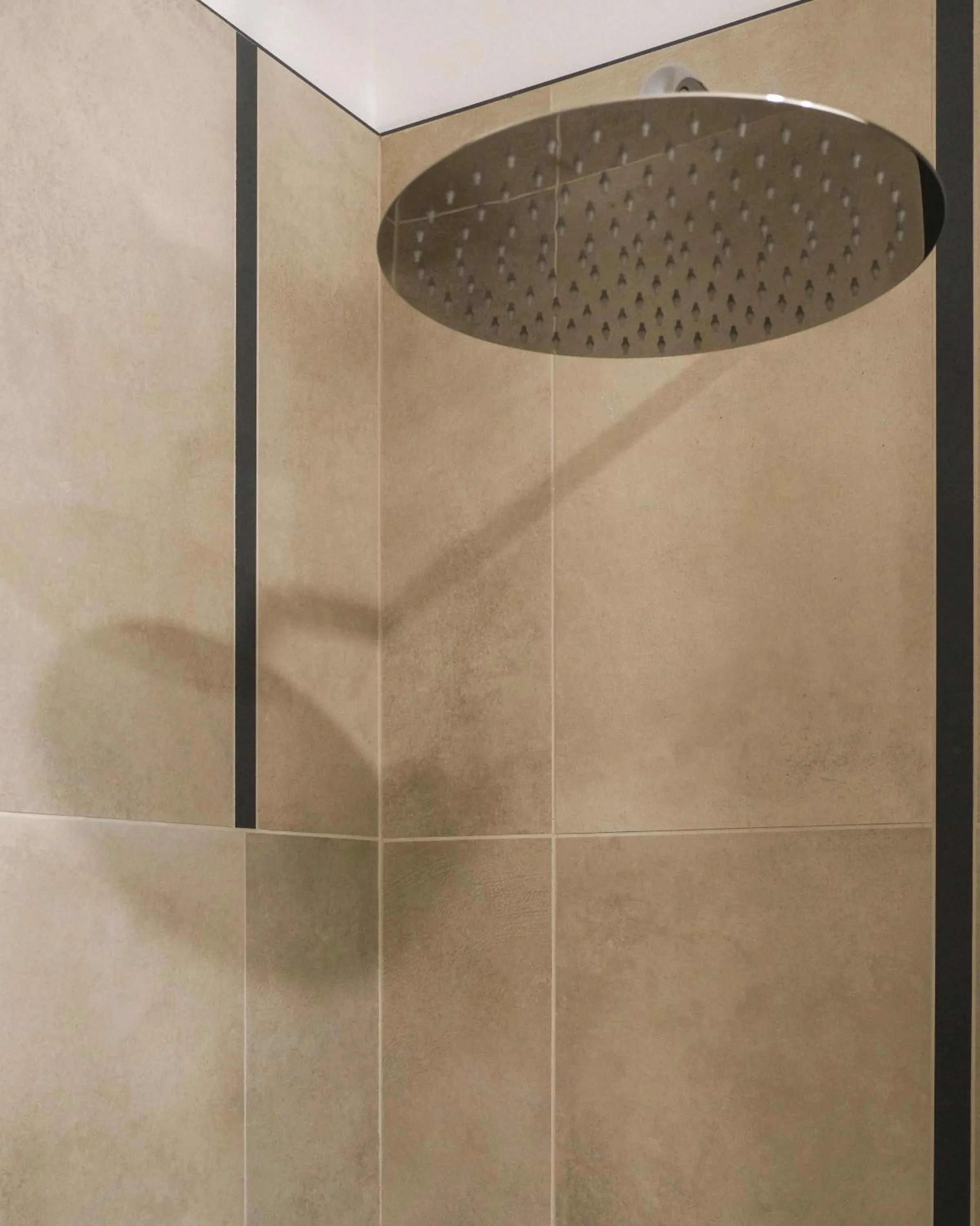 Shower in Emerald Green Residence