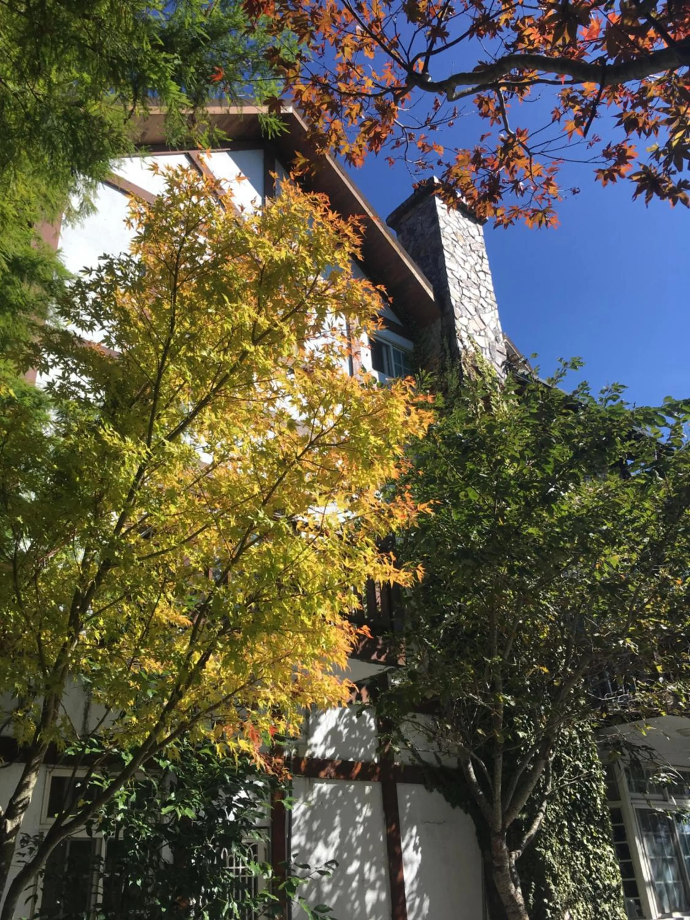 Garden in The Cotswolds Villa
