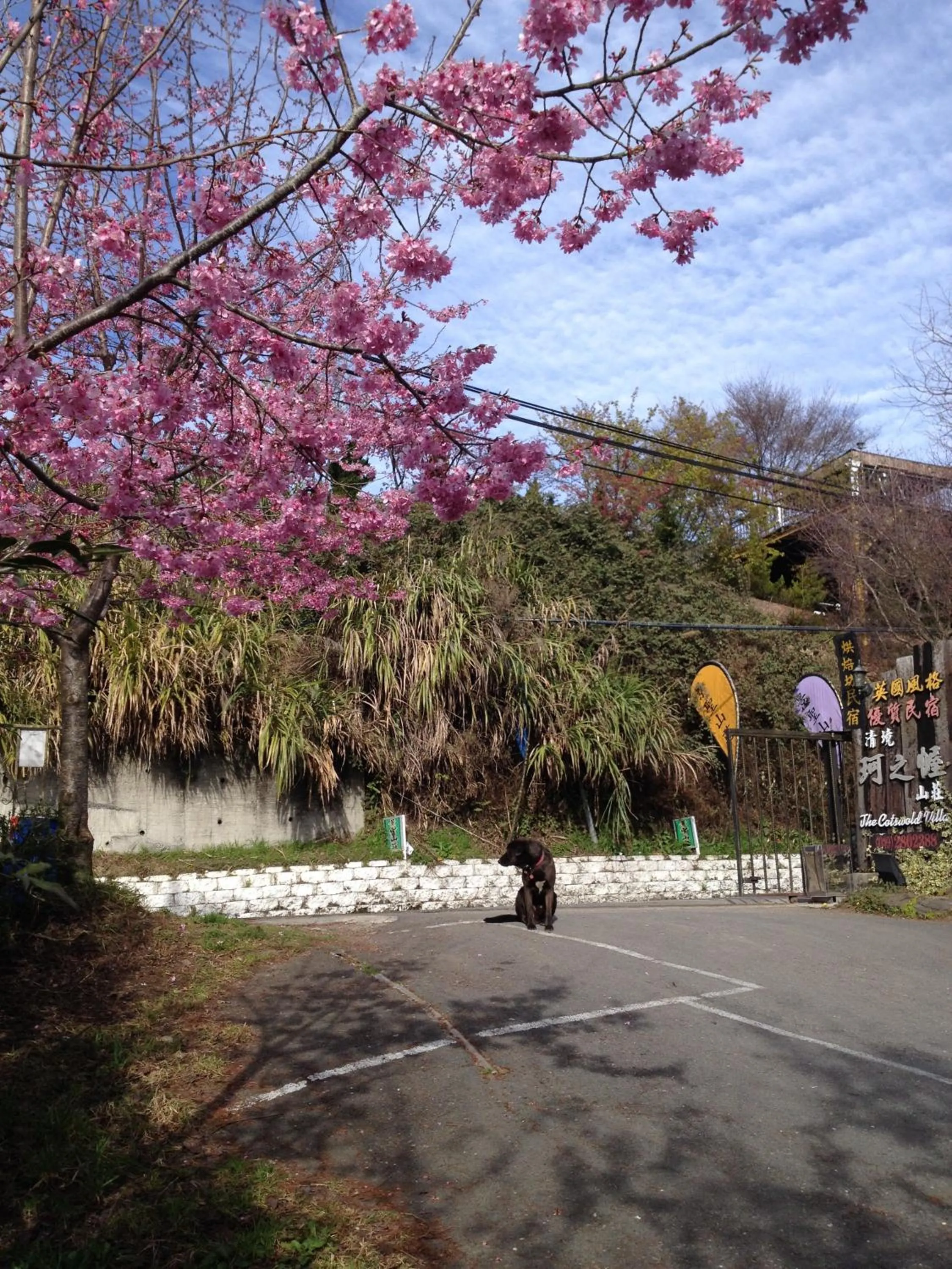 Pets in The Cotswolds Villa