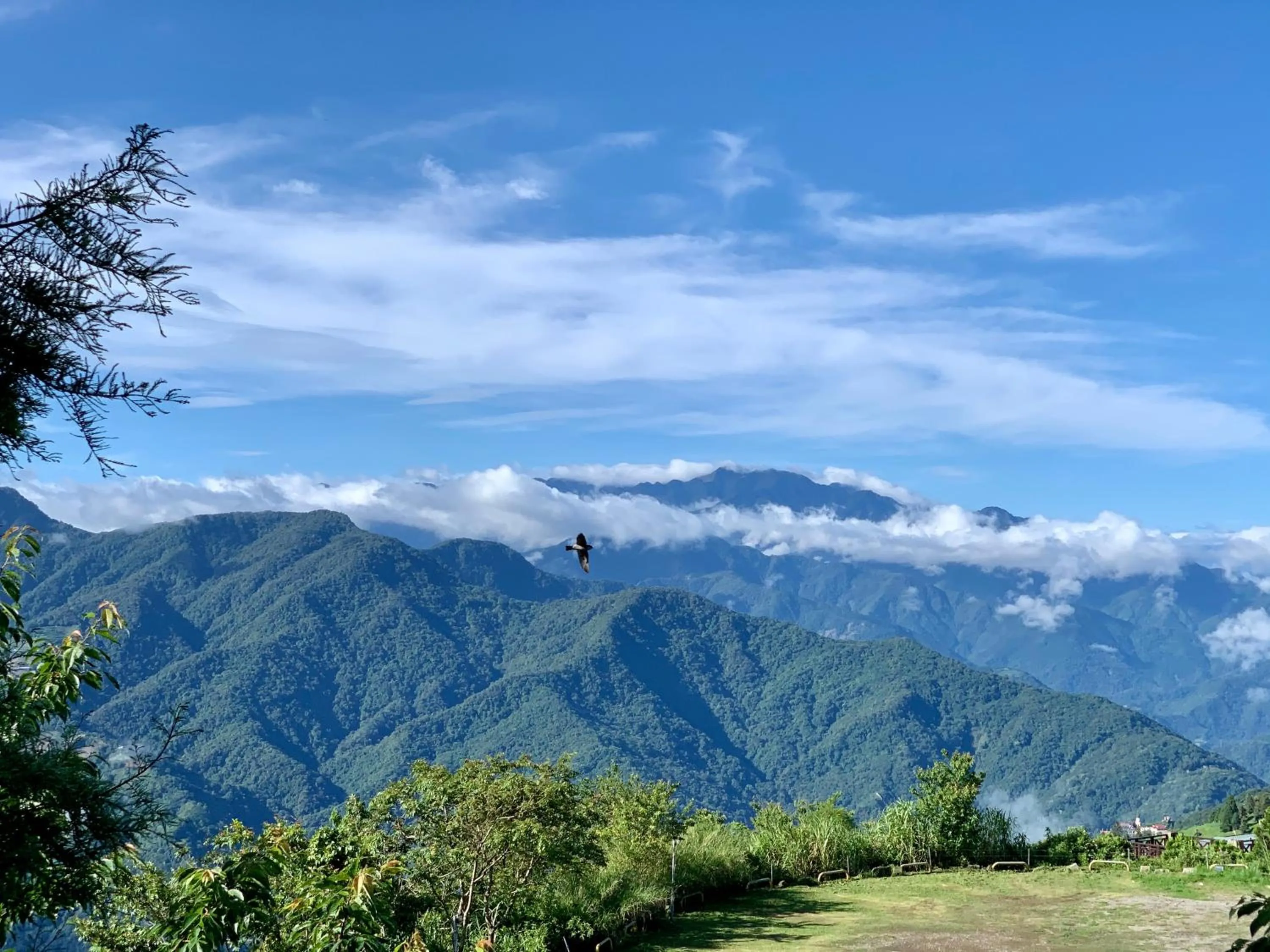 Day in The Cotswolds Villa
