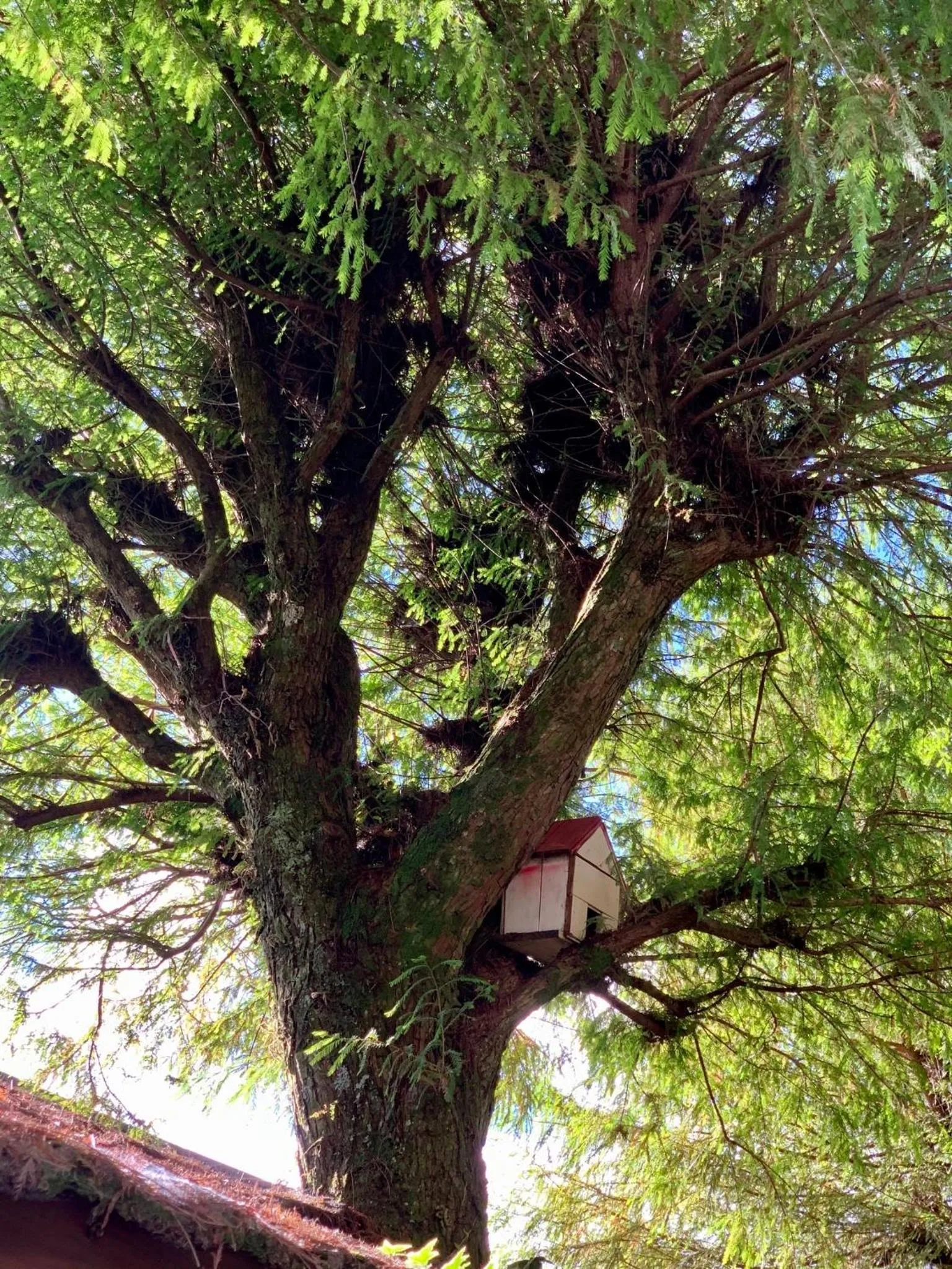 Day in The Cotswolds Villa