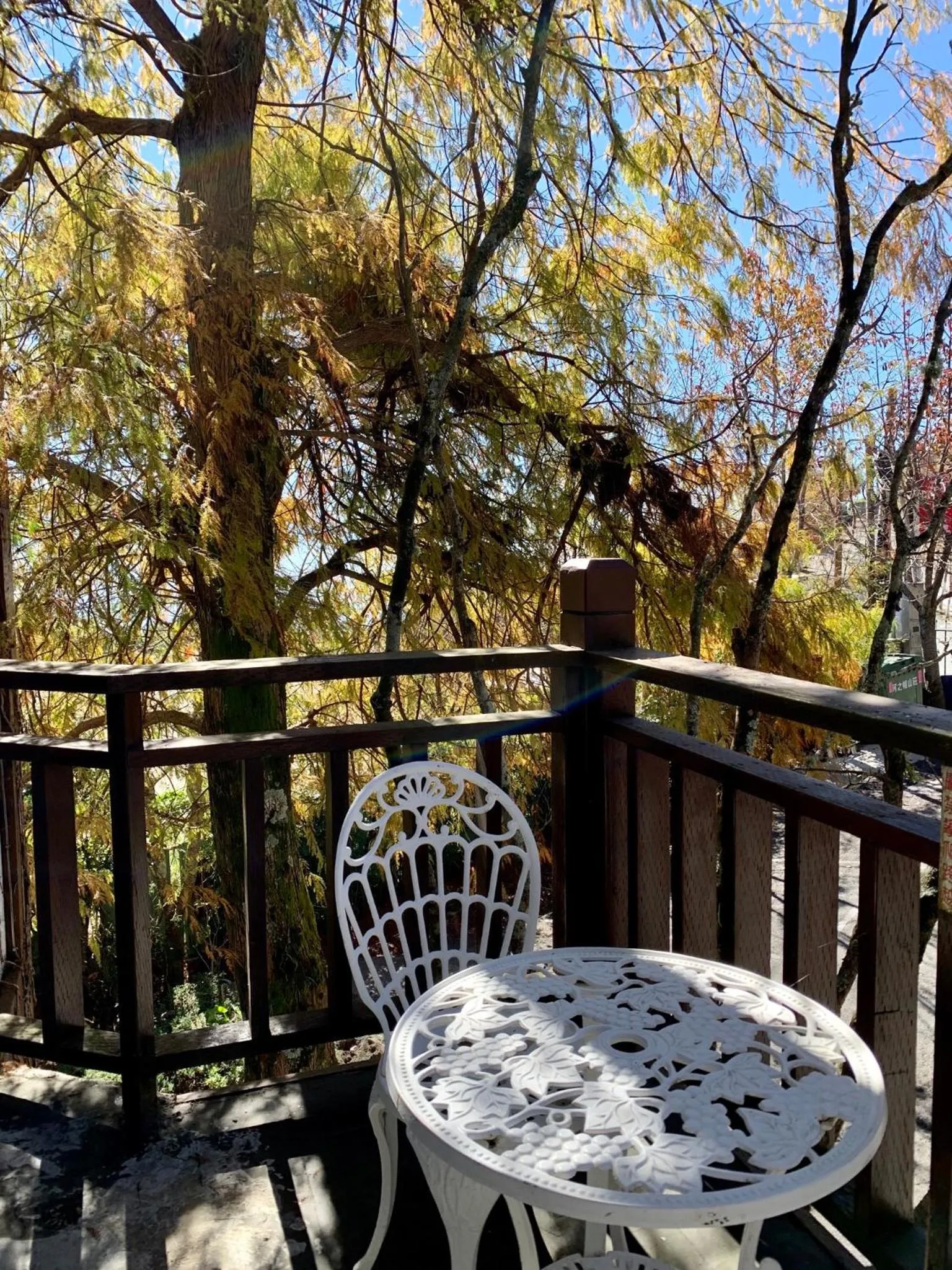 Day in The Cotswolds Villa