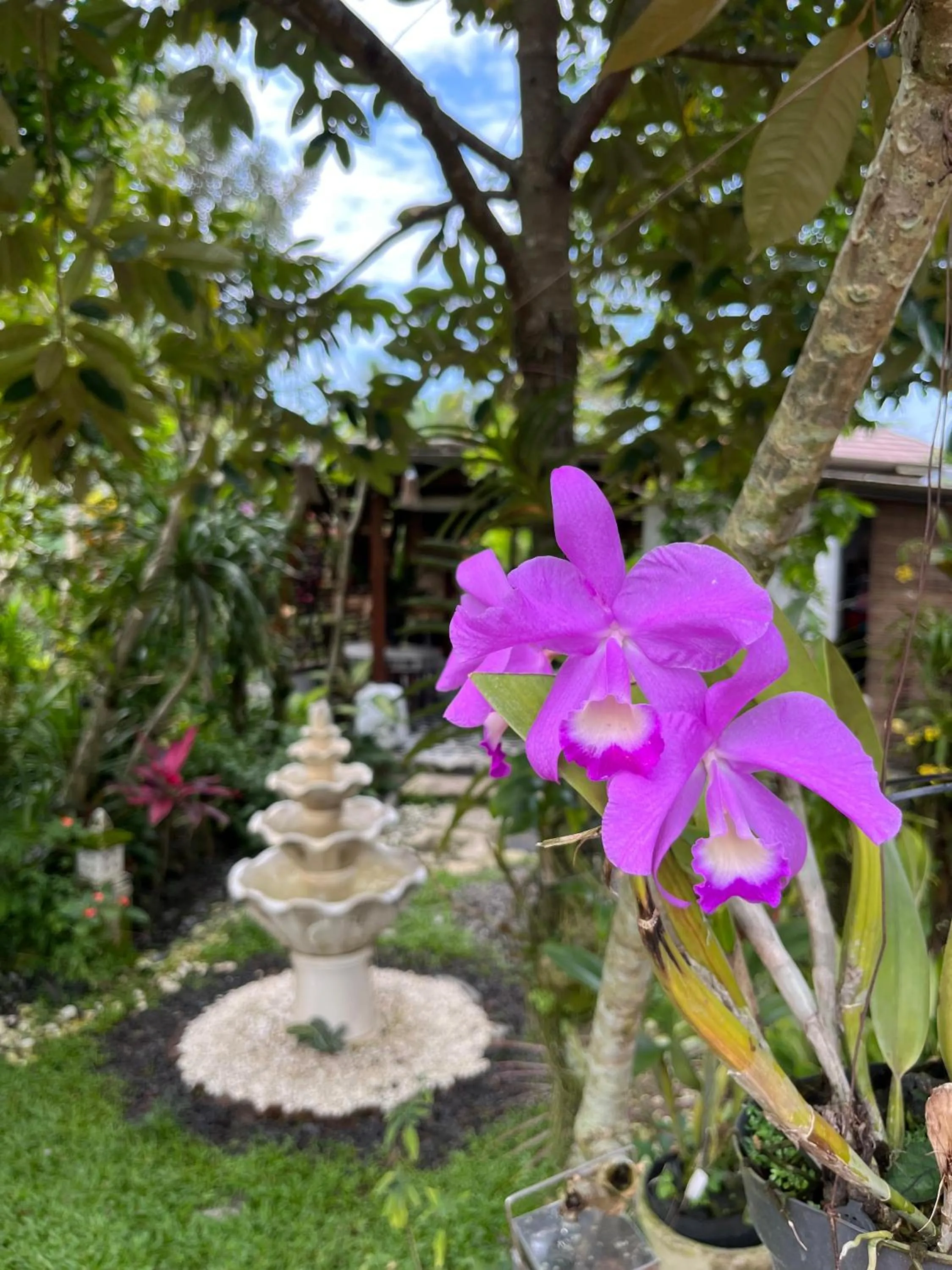 Villa Padi Cangkringan