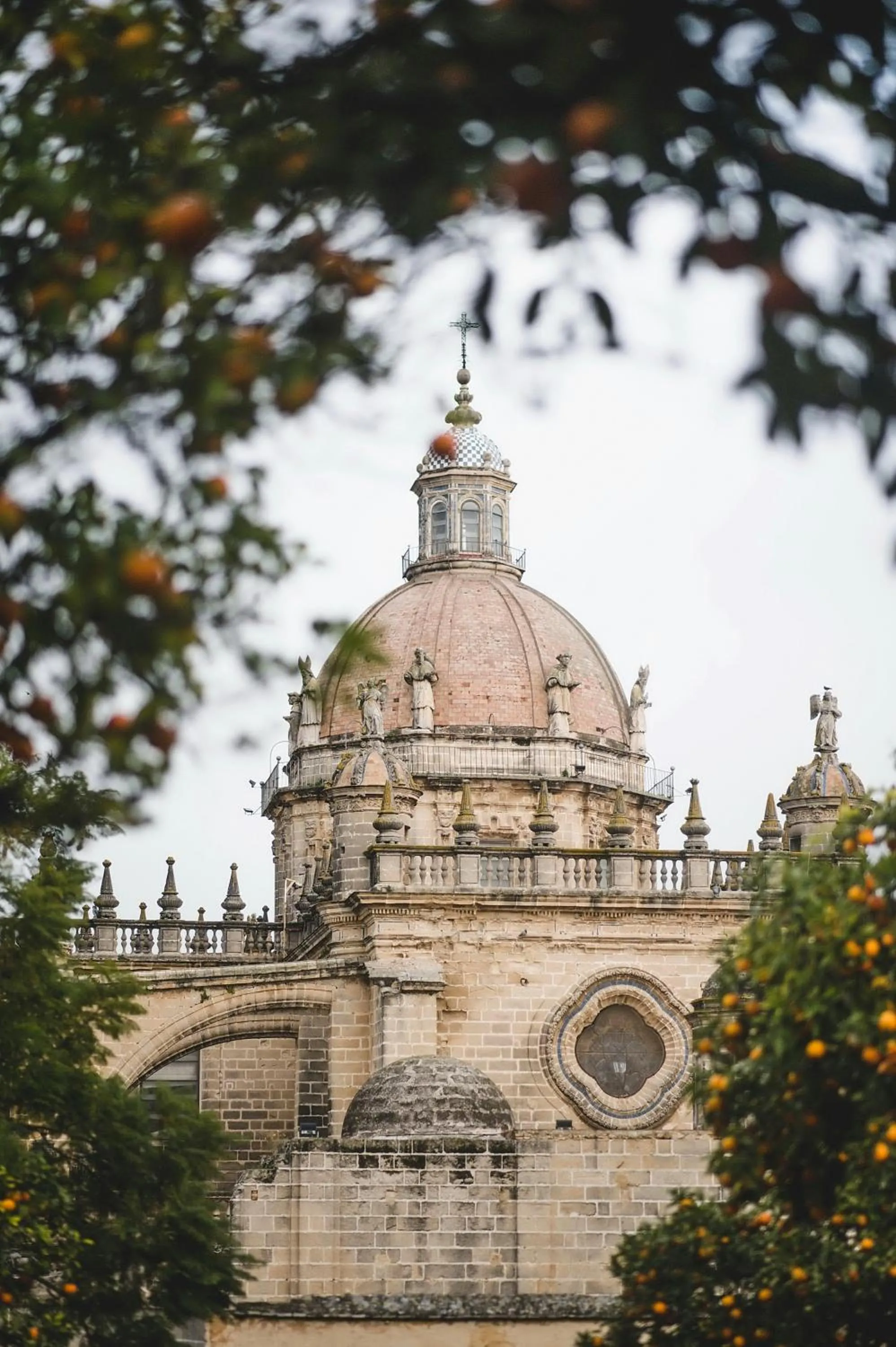 Activities in Tandem Solera