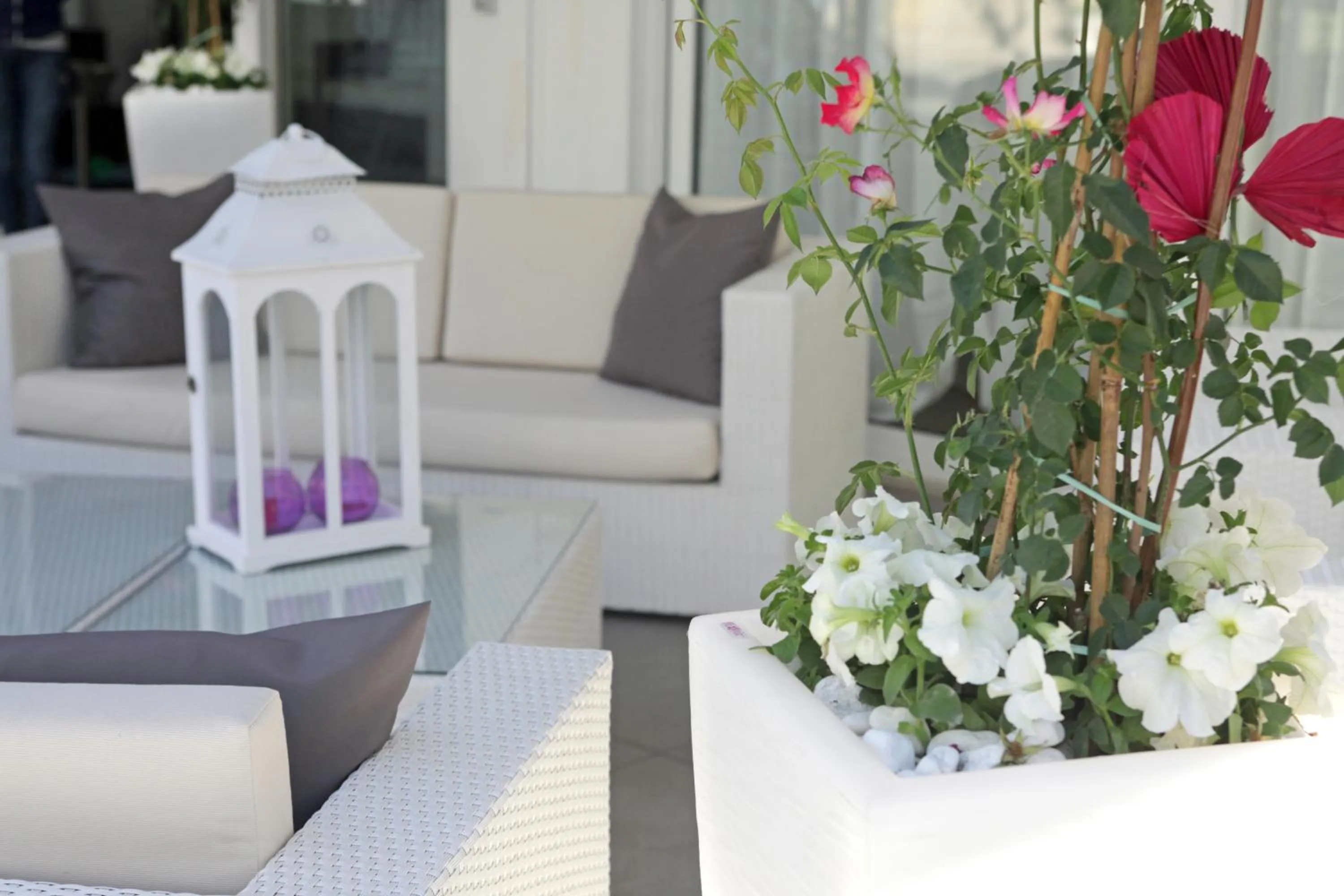 Garden in Hotel Bel Air