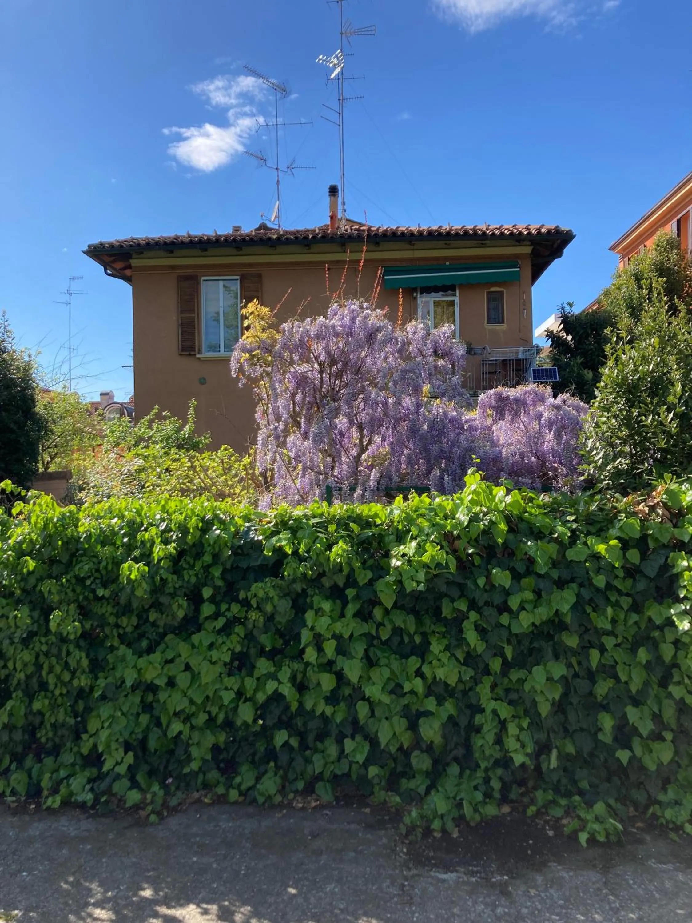 View (from property/room) in Il Giardino Nel Parco R&B