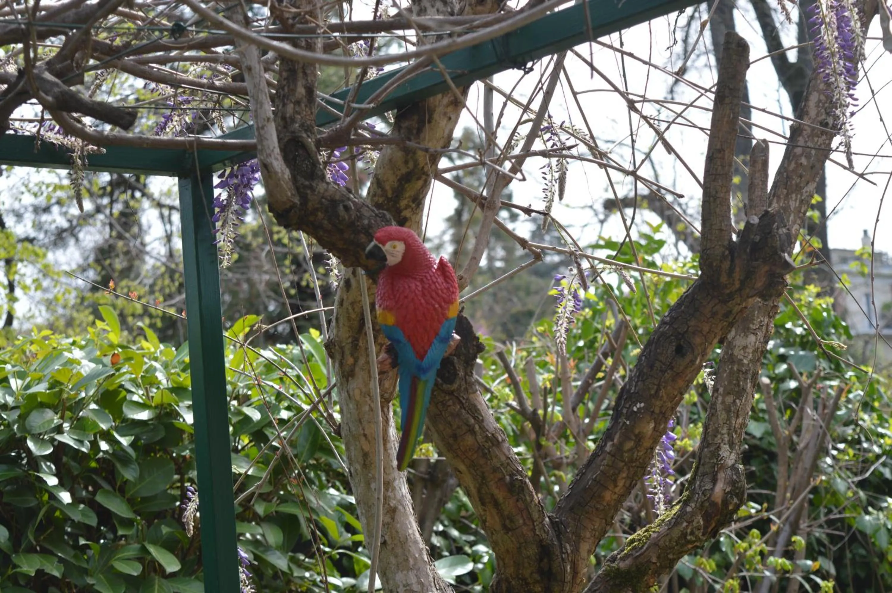 Garden in Il Giardino Nel Parco R&B