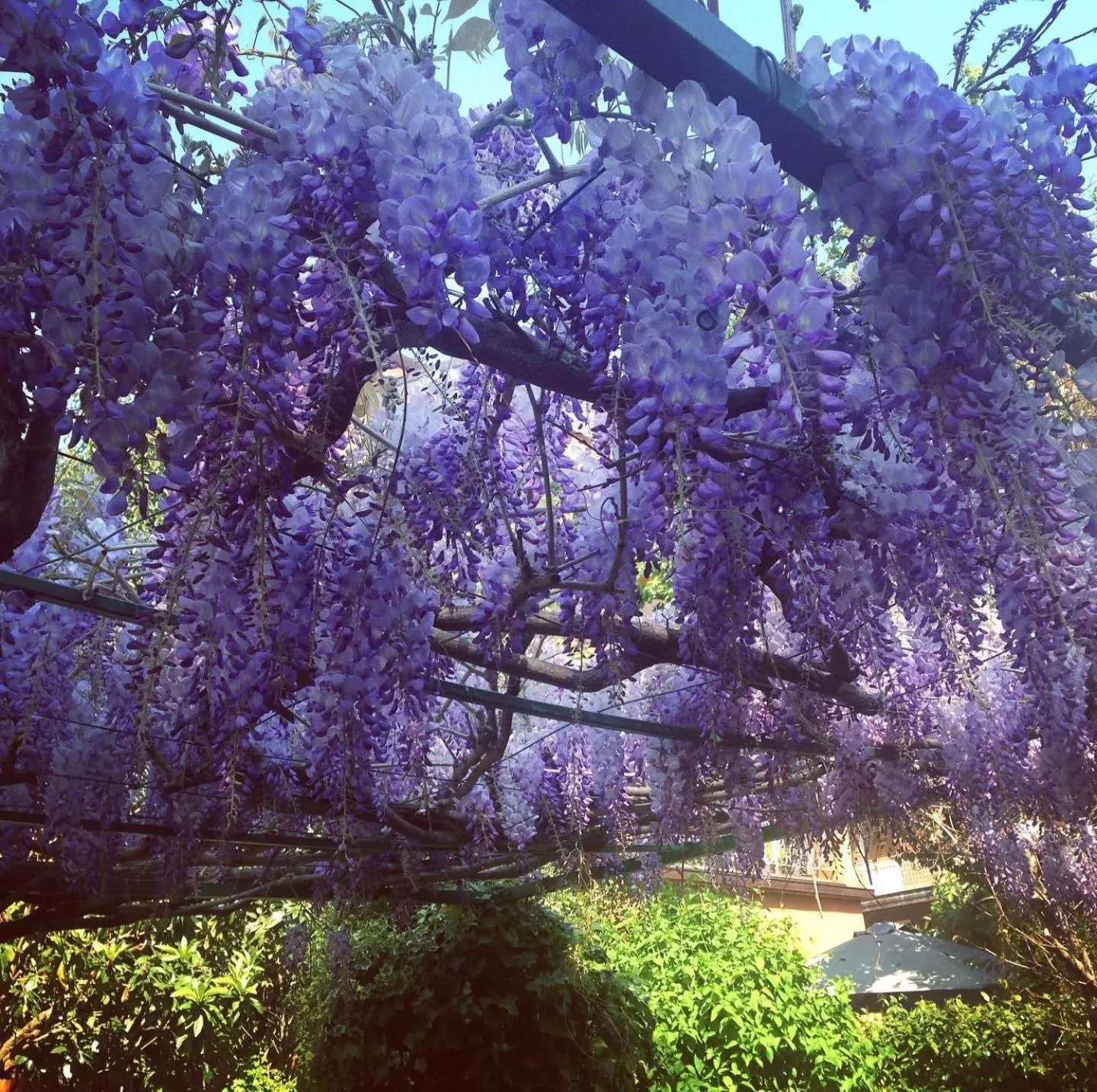 Garden in Il Giardino Nel Parco R&B