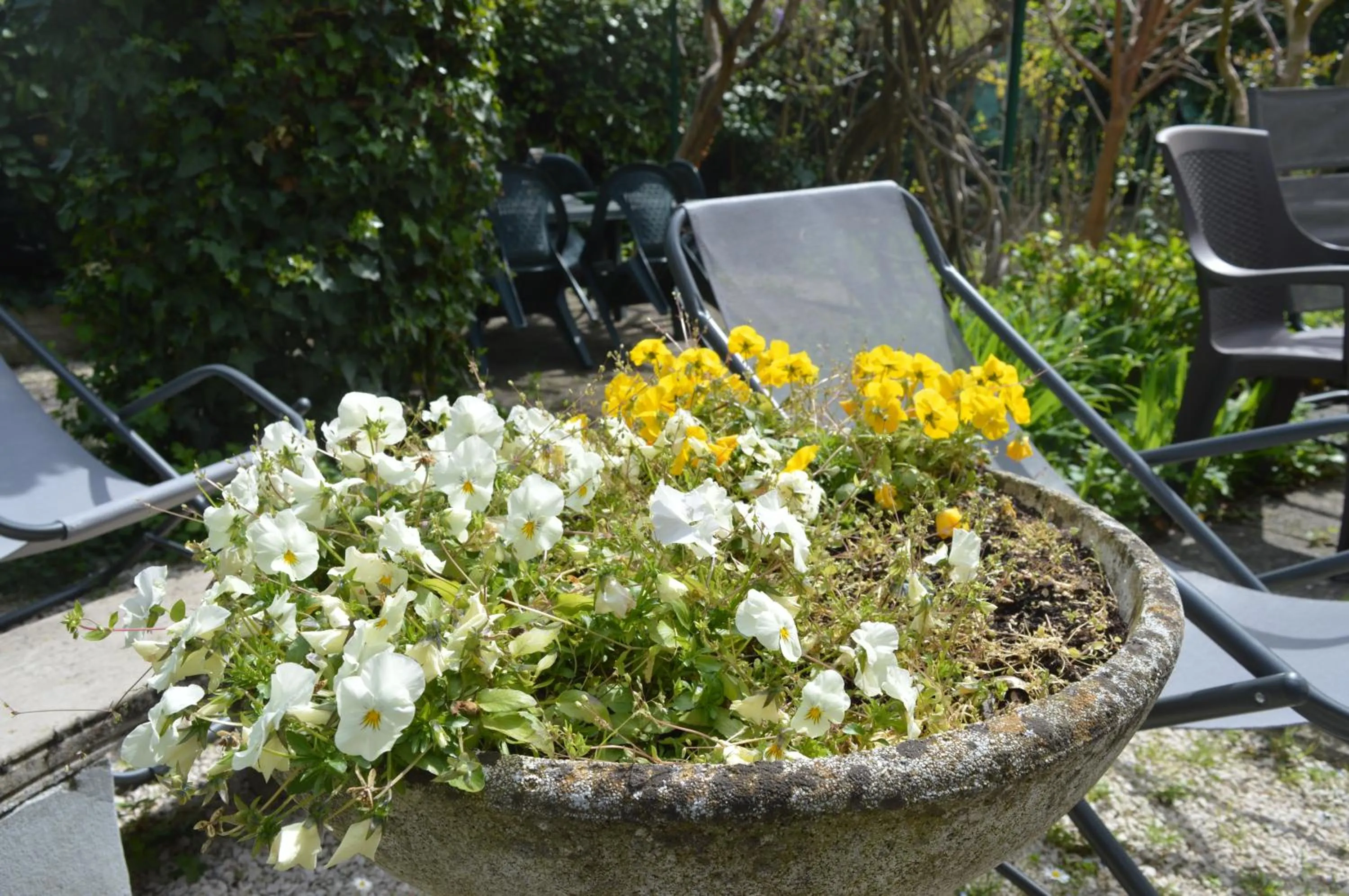 Garden in Il Giardino Nel Parco R&B