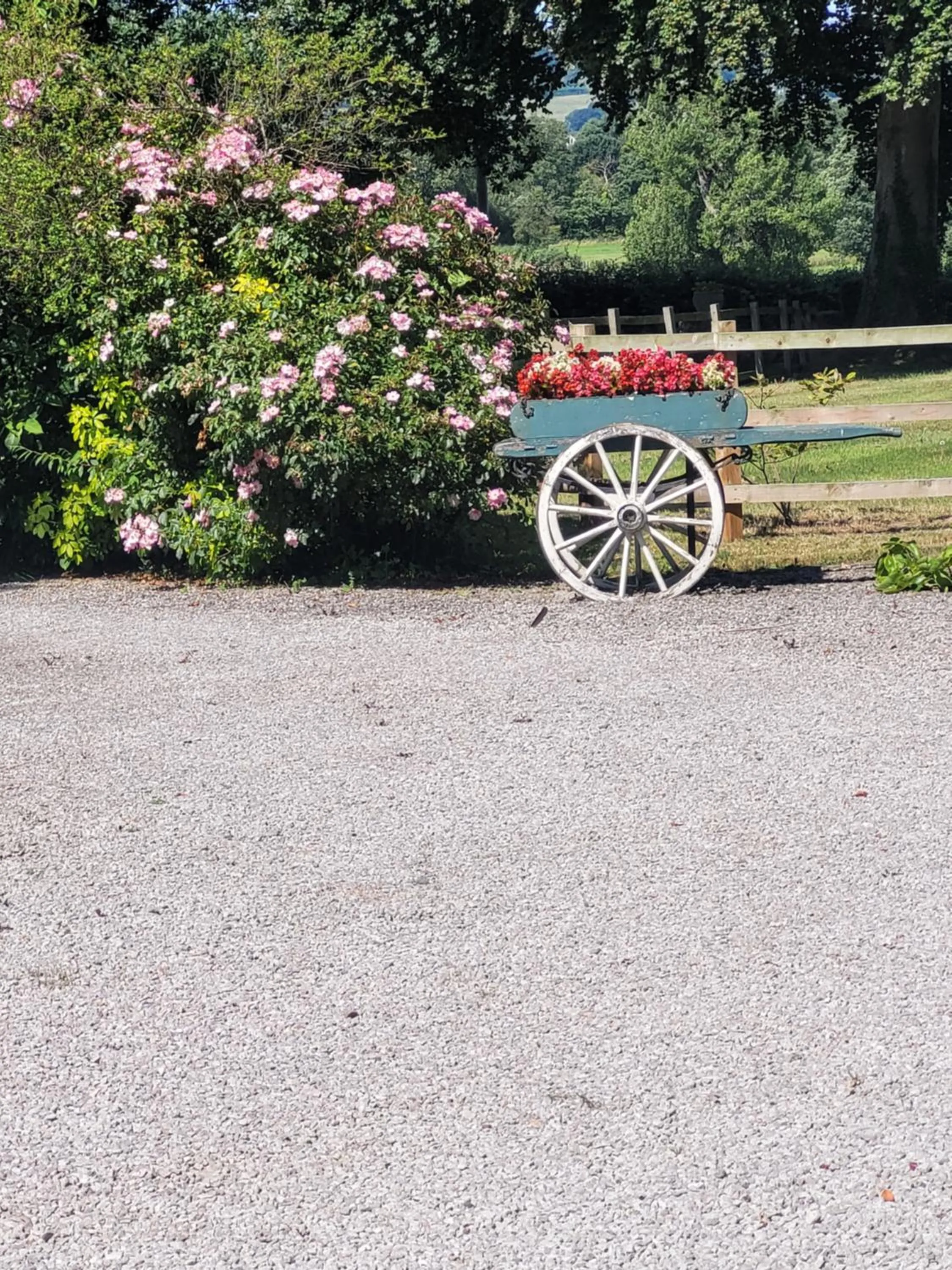 Ty Derw Country House B&B