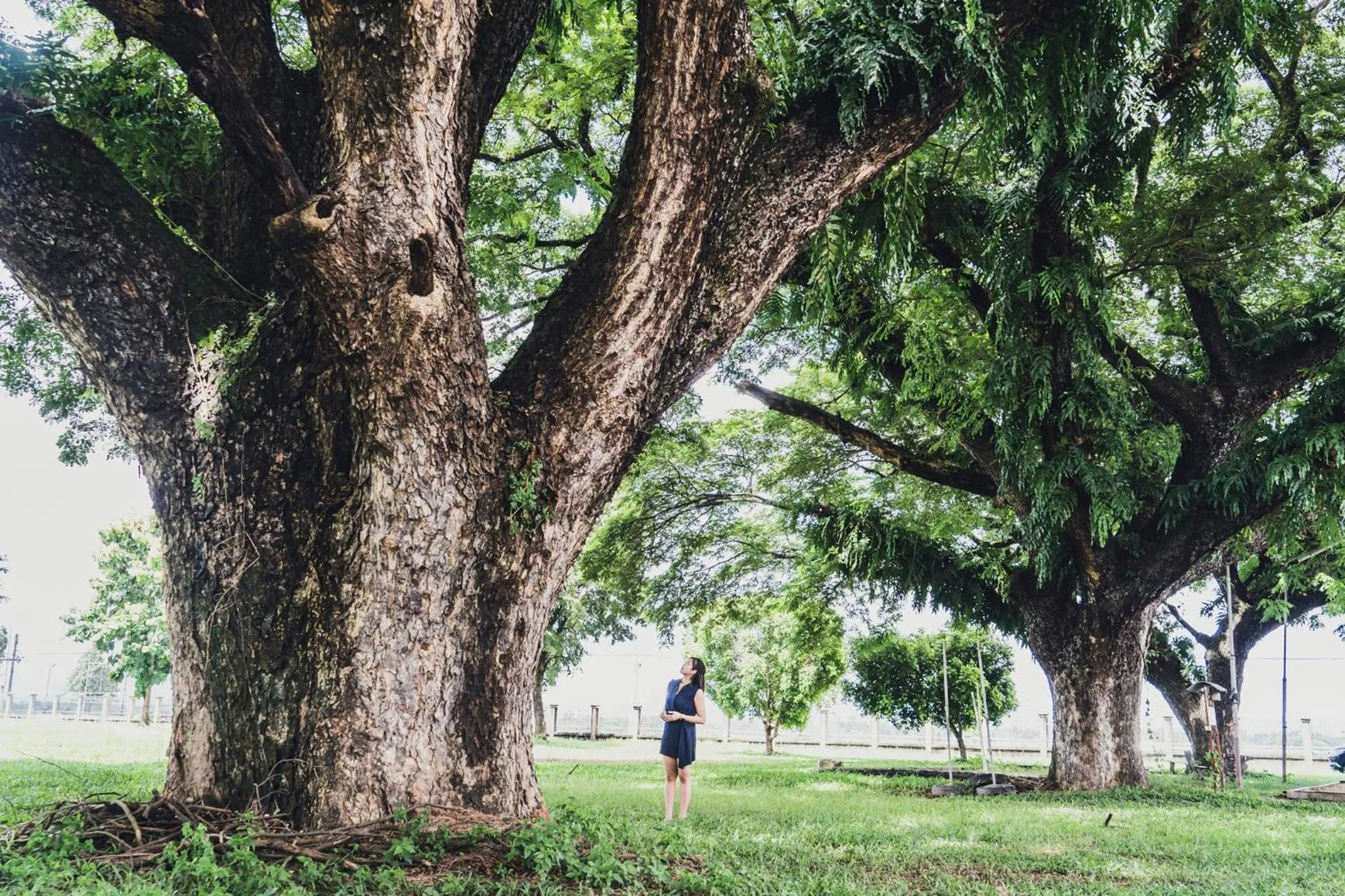 Nearby landmark in Fortune River View Hotel Nakhon Phanom