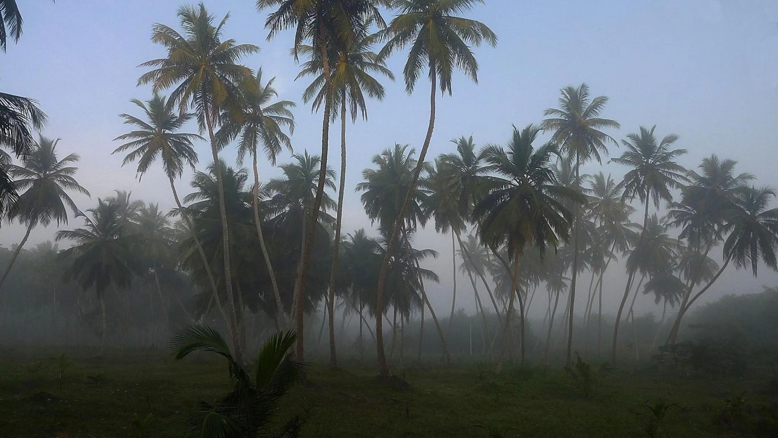 Area and facilities in Seven Turtles