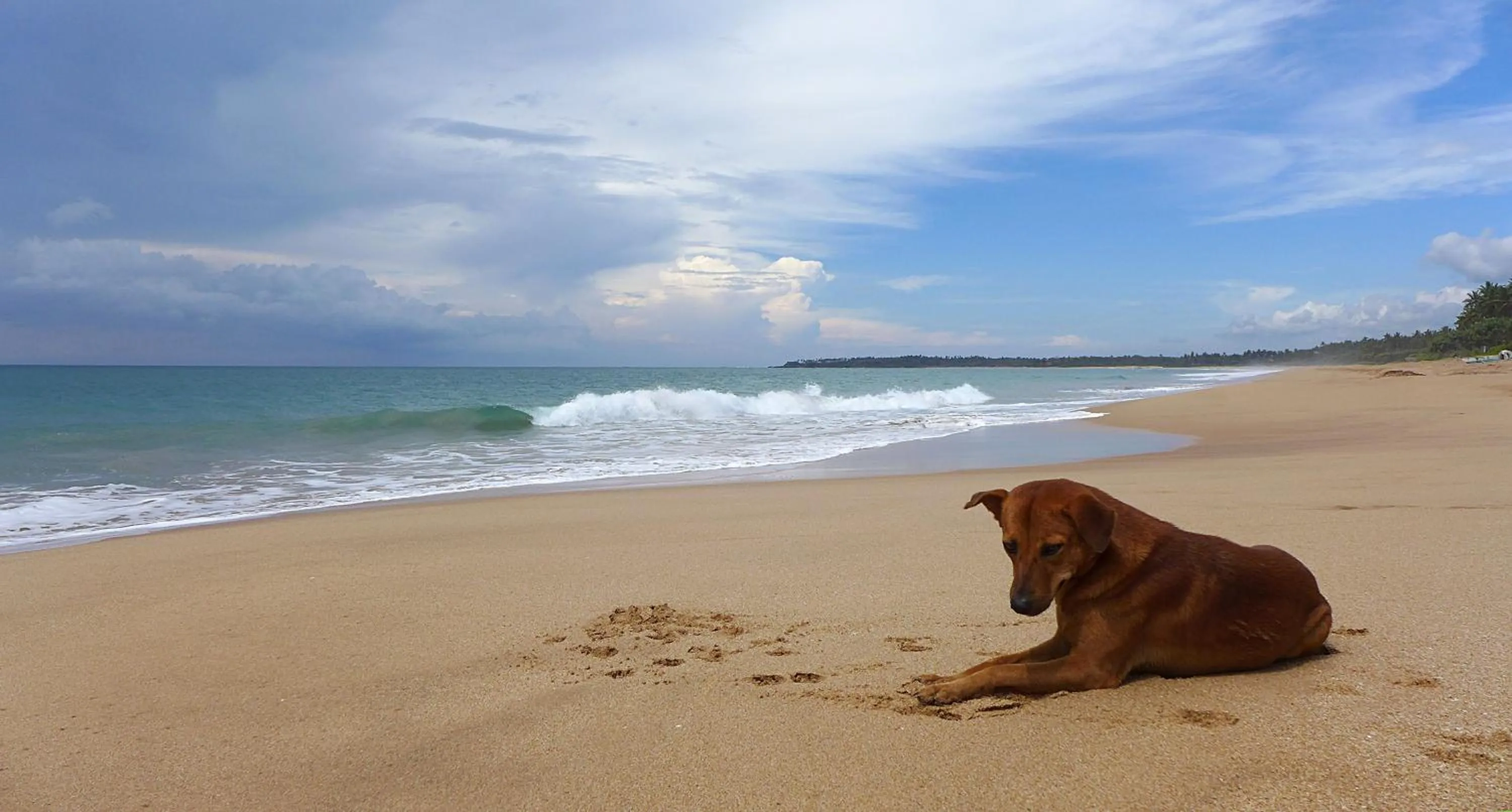 Beach in Seven Turtles