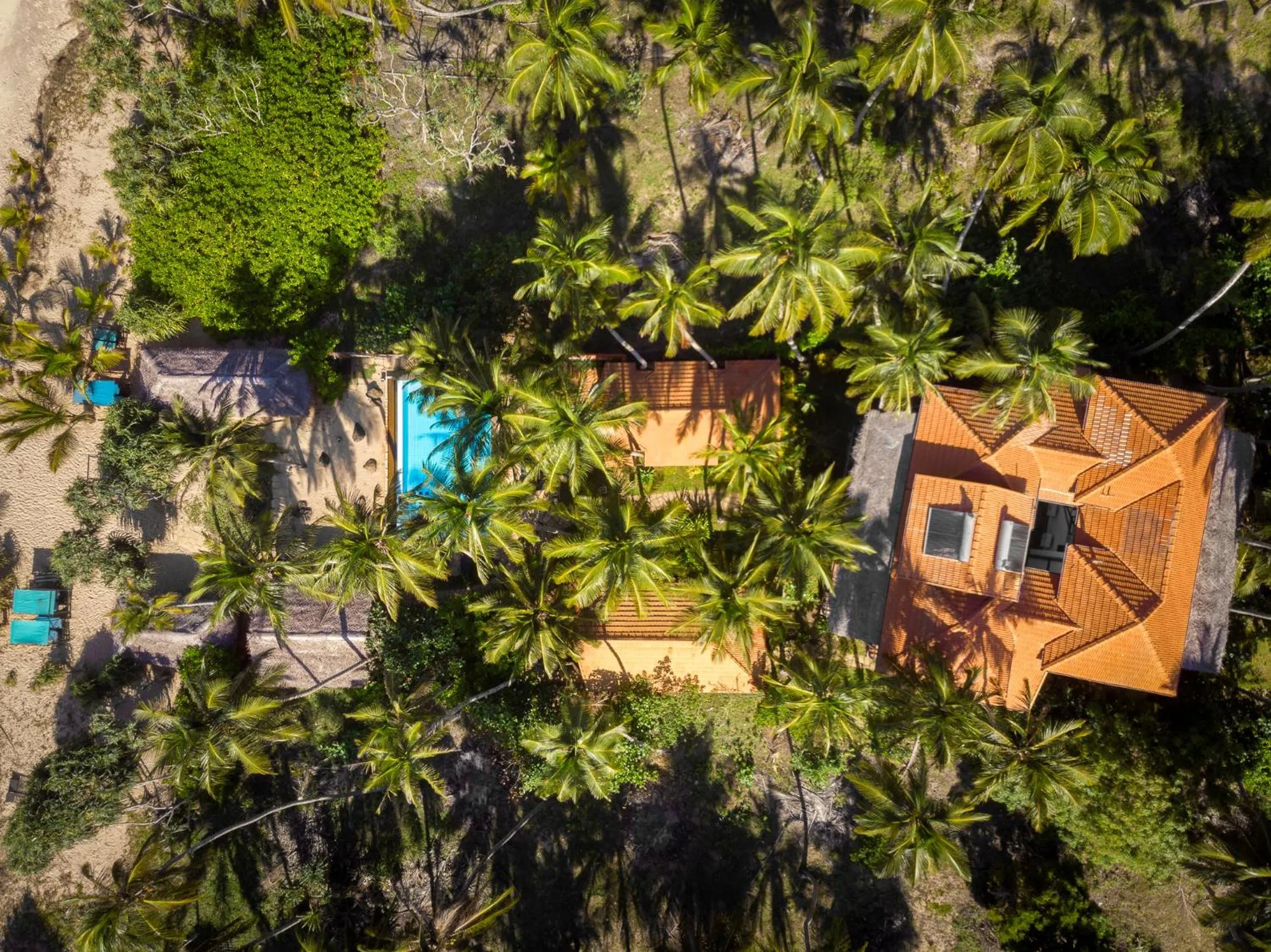 Bird's eye view in Seven Turtles