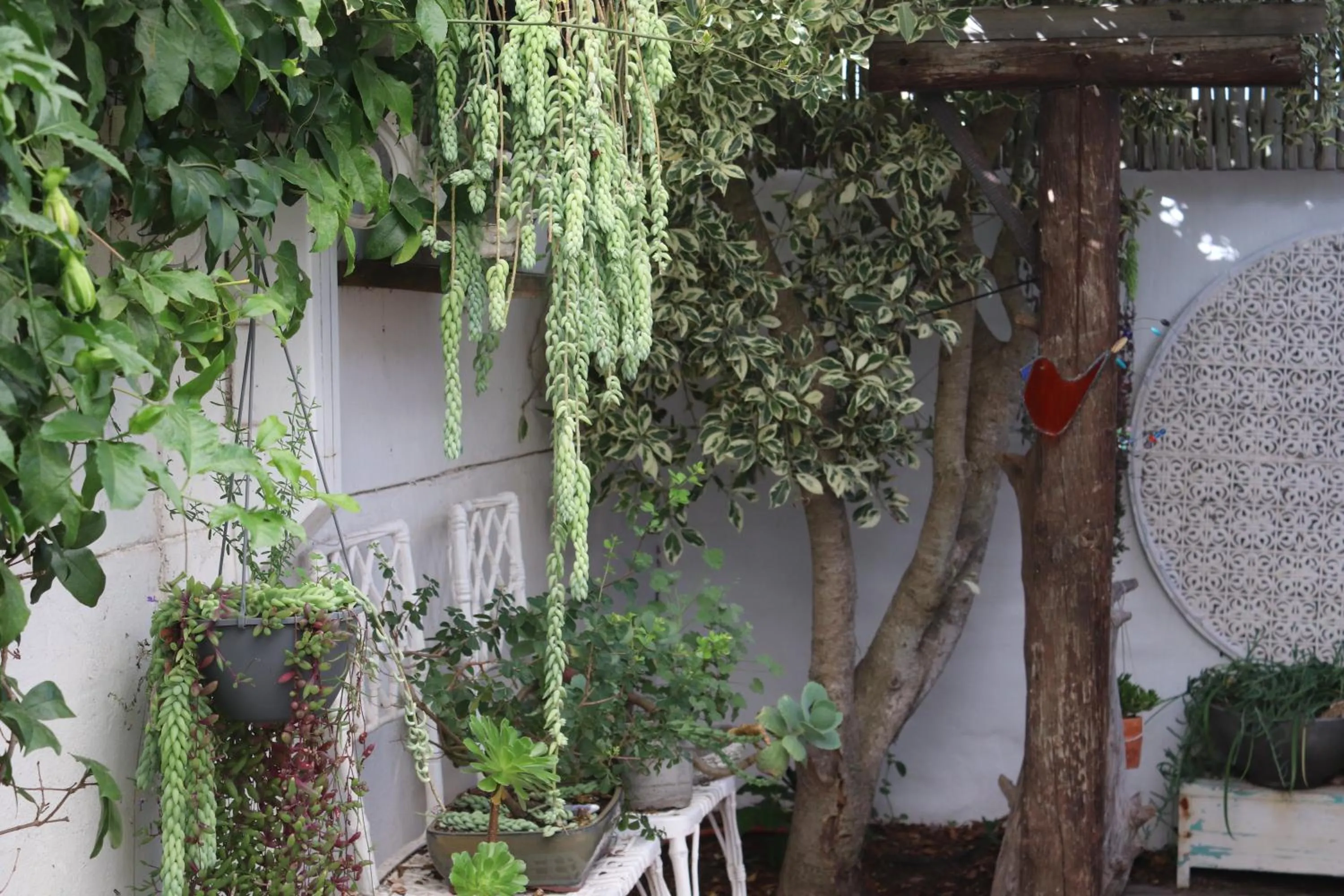 Garden view in Gilcrest Place Guest House