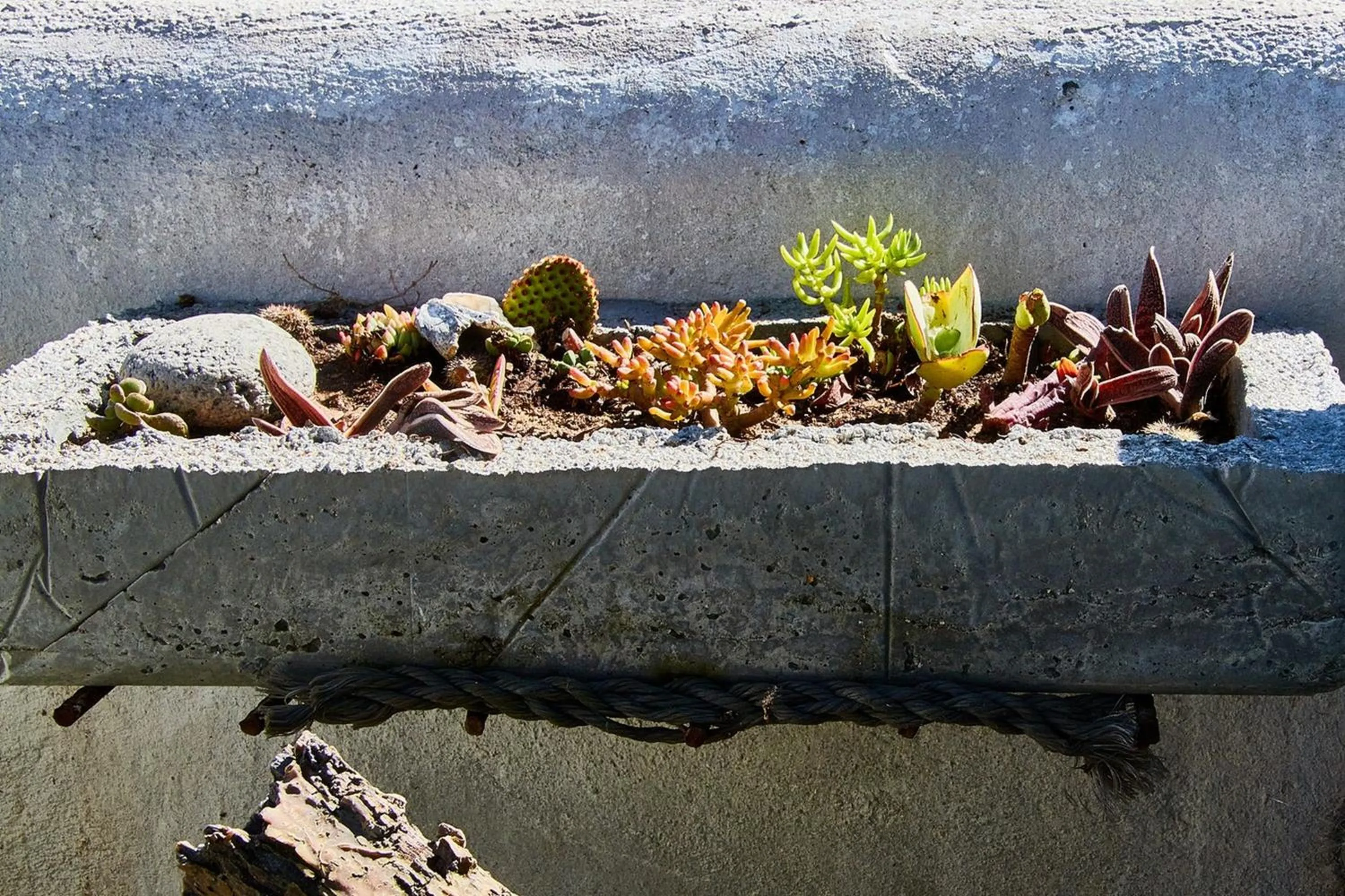 Garden in Gilcrest Place Guest House