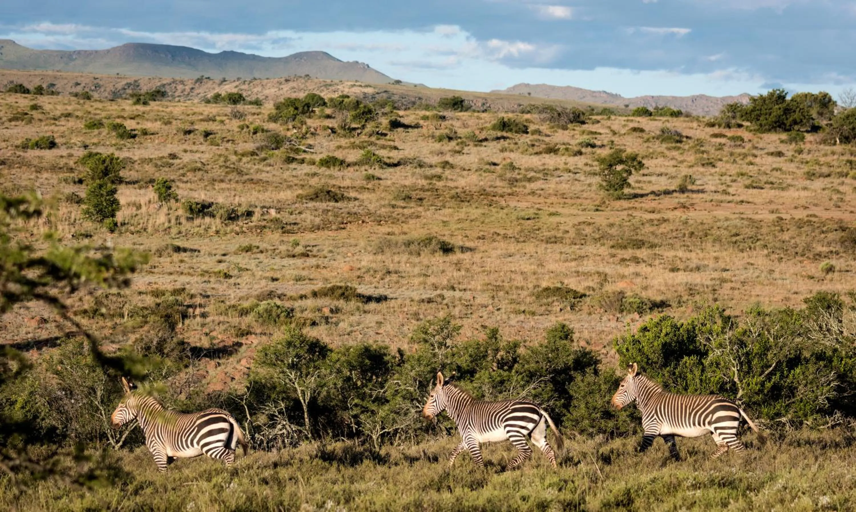 Natural landscape in Mount Camdeboo Private Game Reserve by NEWMARK