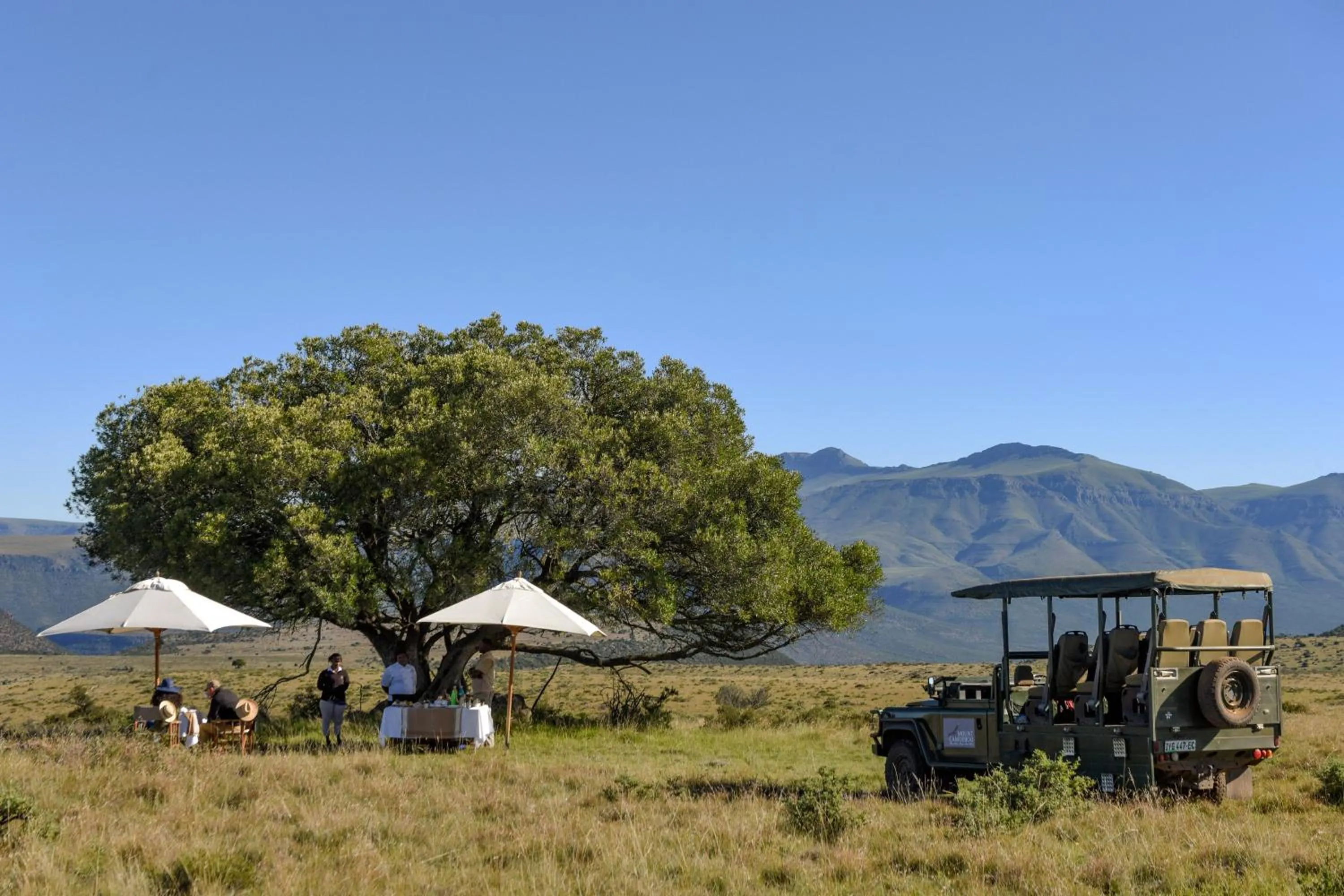 Natural landscape in Mount Camdeboo Private Game Reserve by NEWMARK