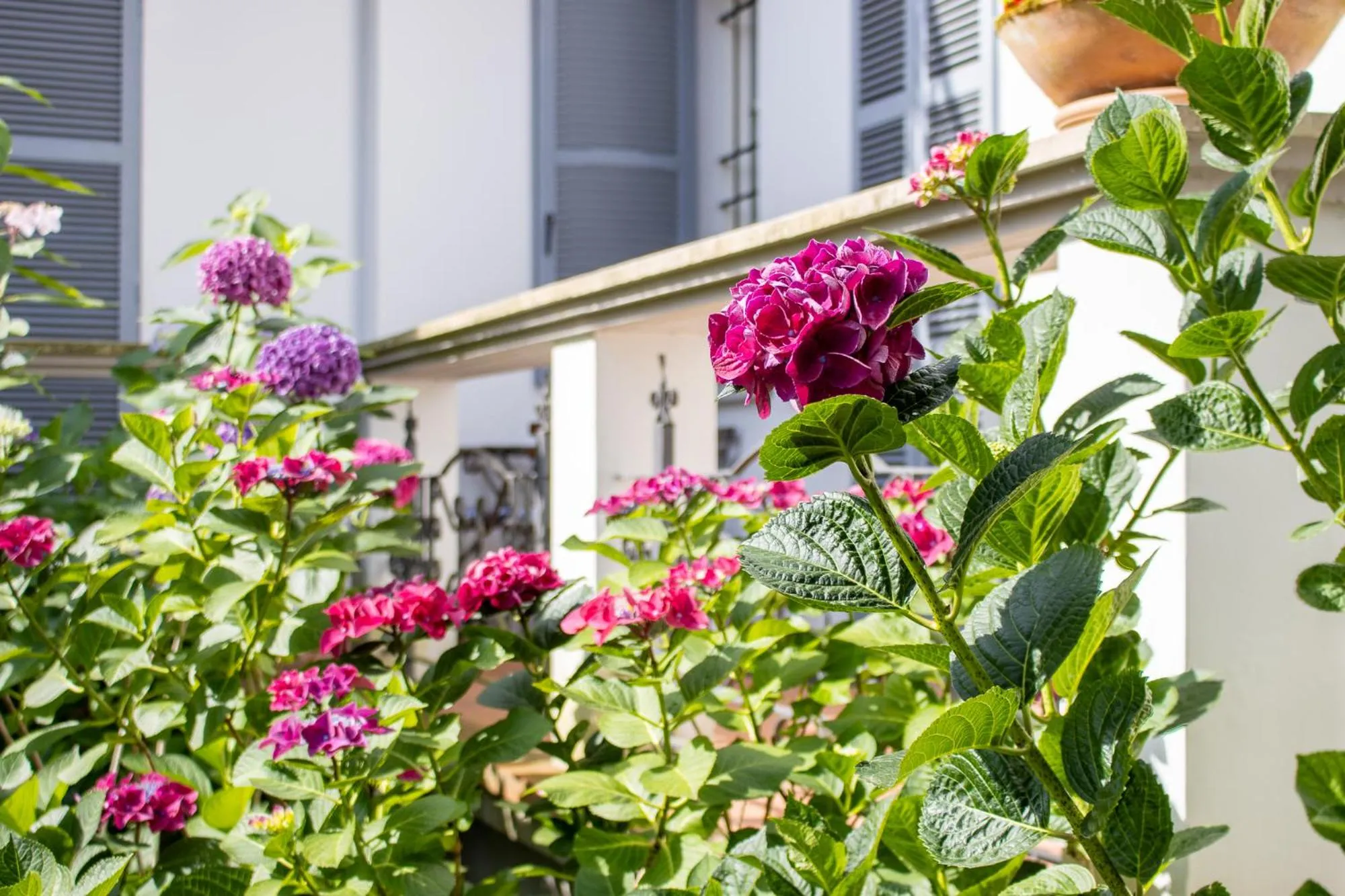 Balcony/Terrace in Antica Casa Balsari