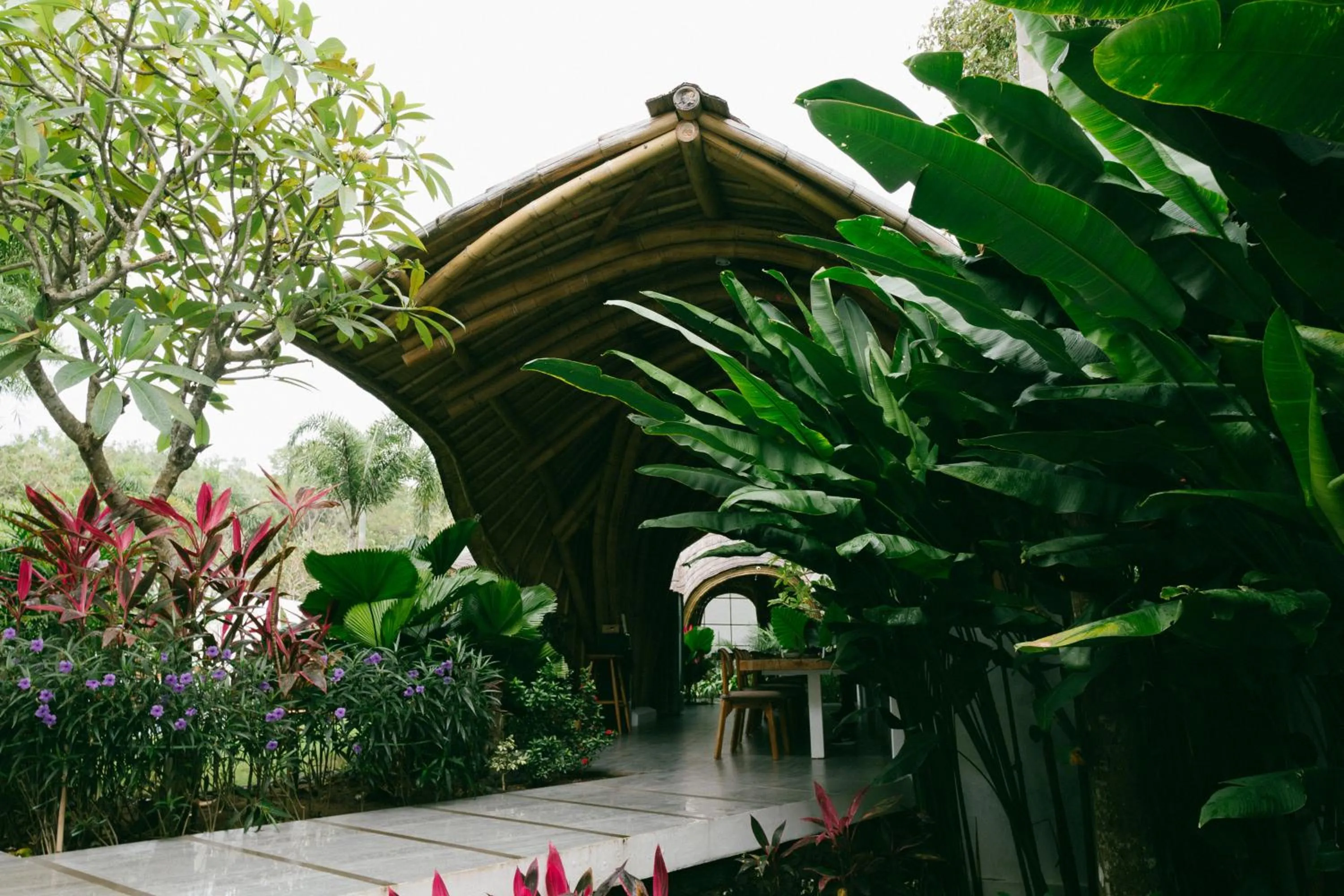 Garden in Mantra Wellness Center