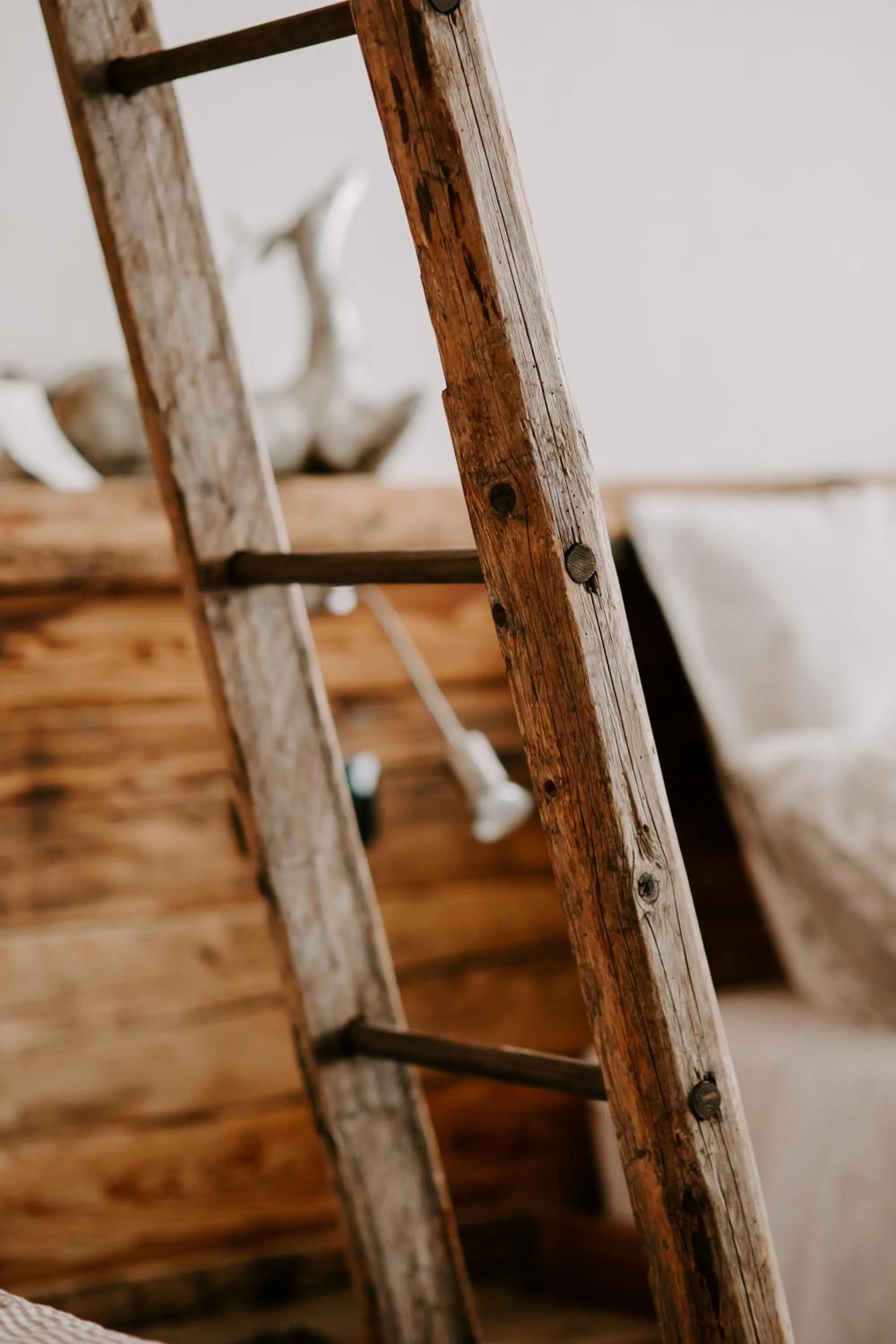 Bed in Fra Rose e Mughi