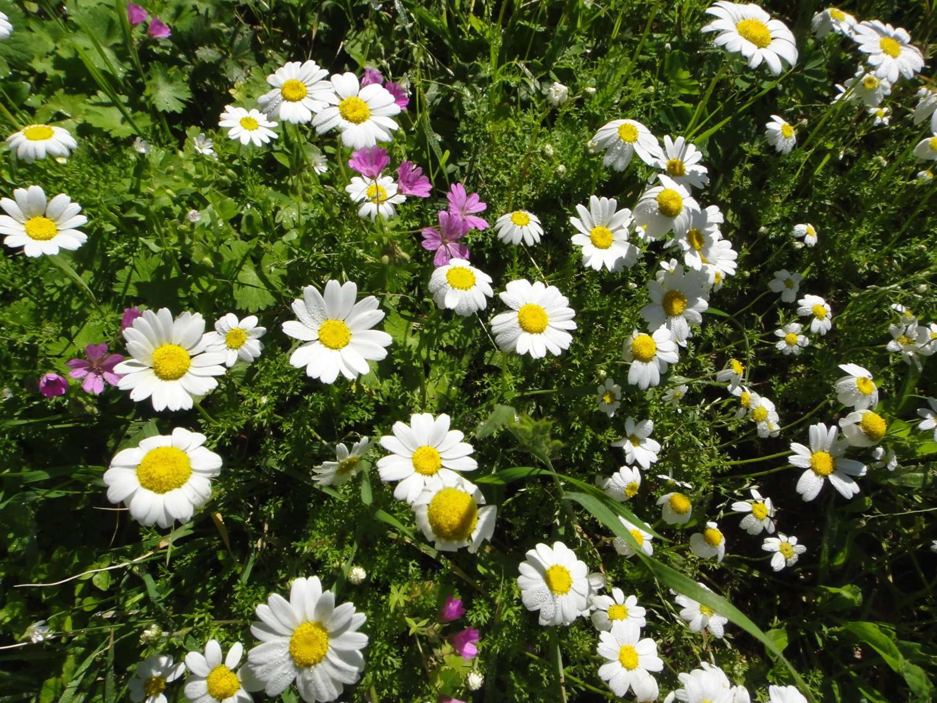 Other in Menes Hotel