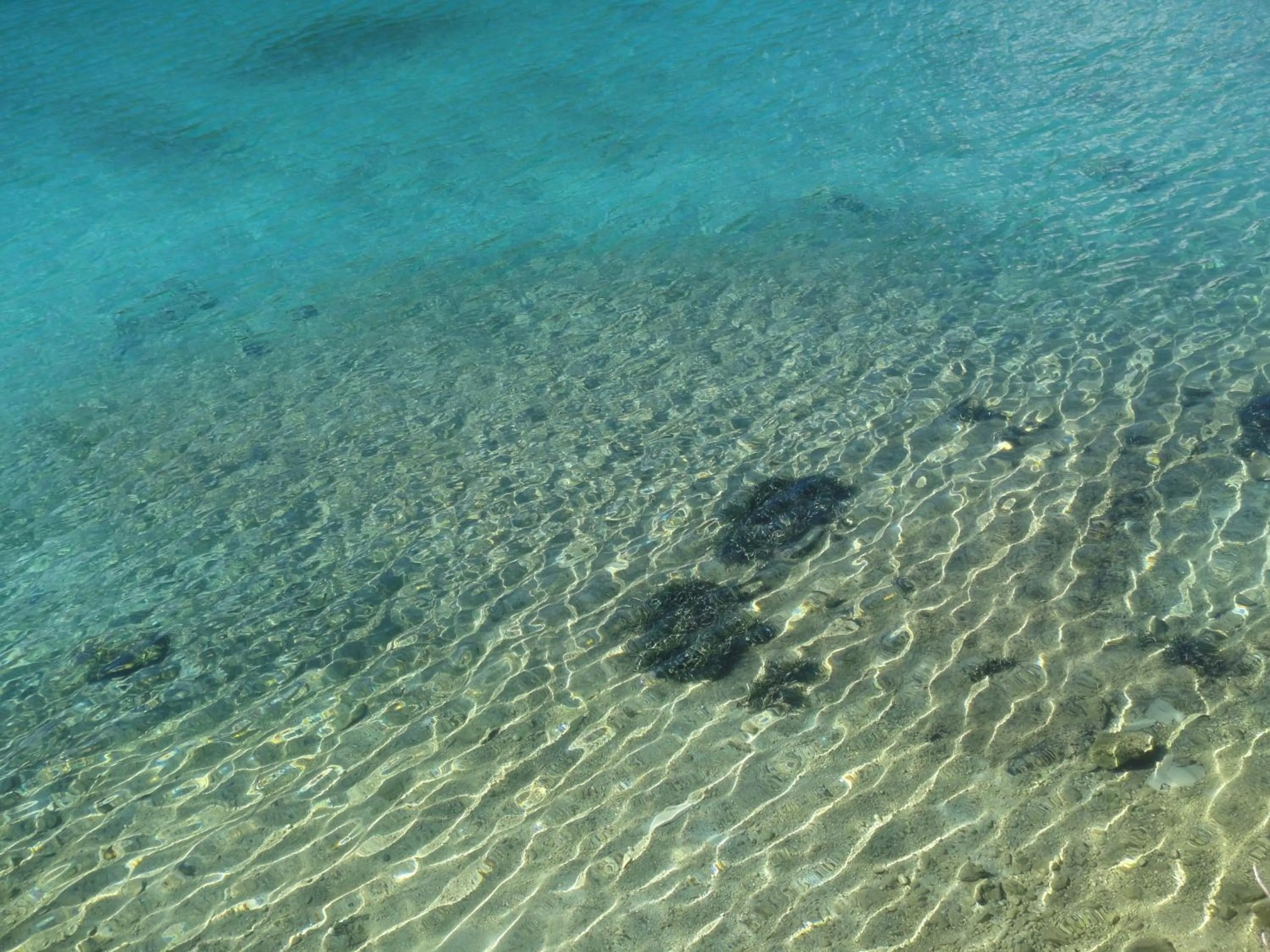 Other in Menes Hotel