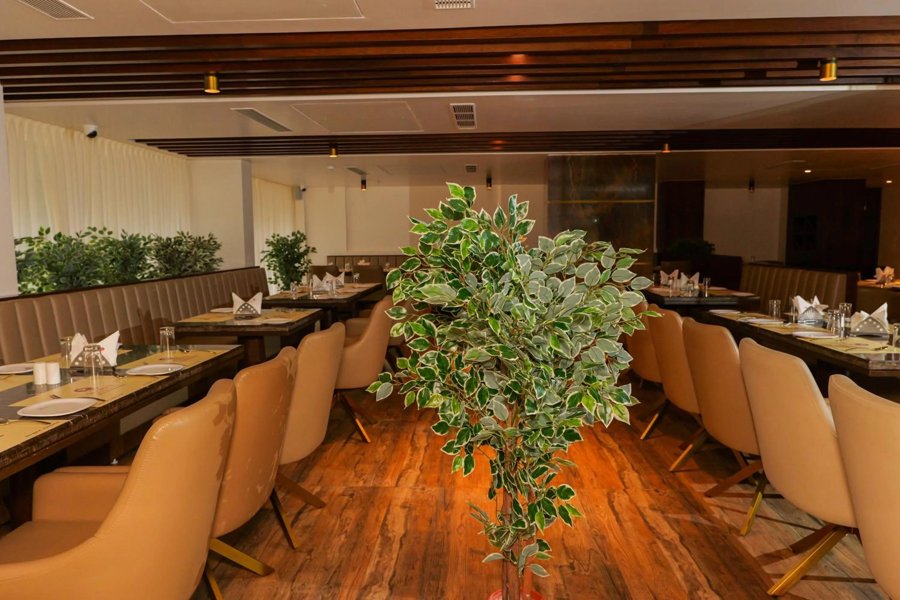 Restaurant/places to eat in UVA MANISH